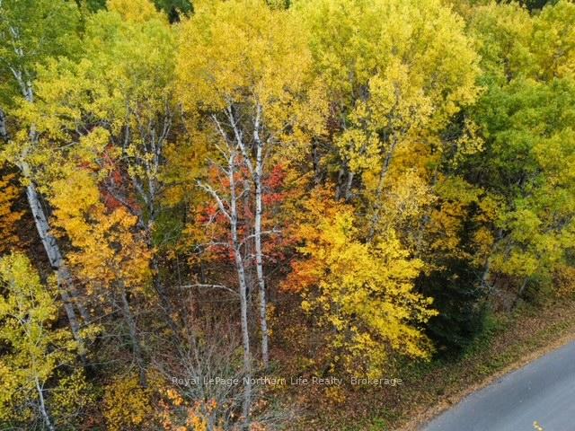 Photo 9 of 519 Hart Road, Callander — HOMEH