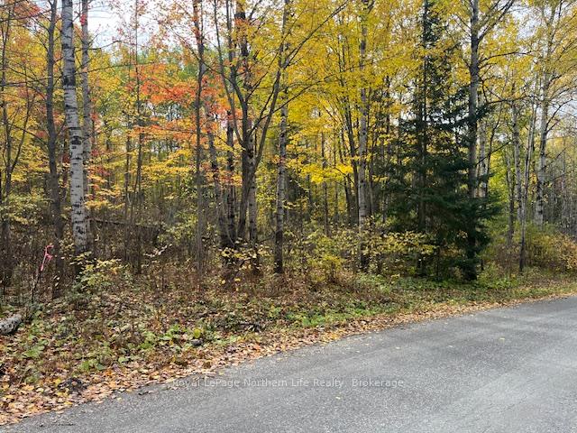 Photo 10 of 519 Hart Road, Callander — HOMEH