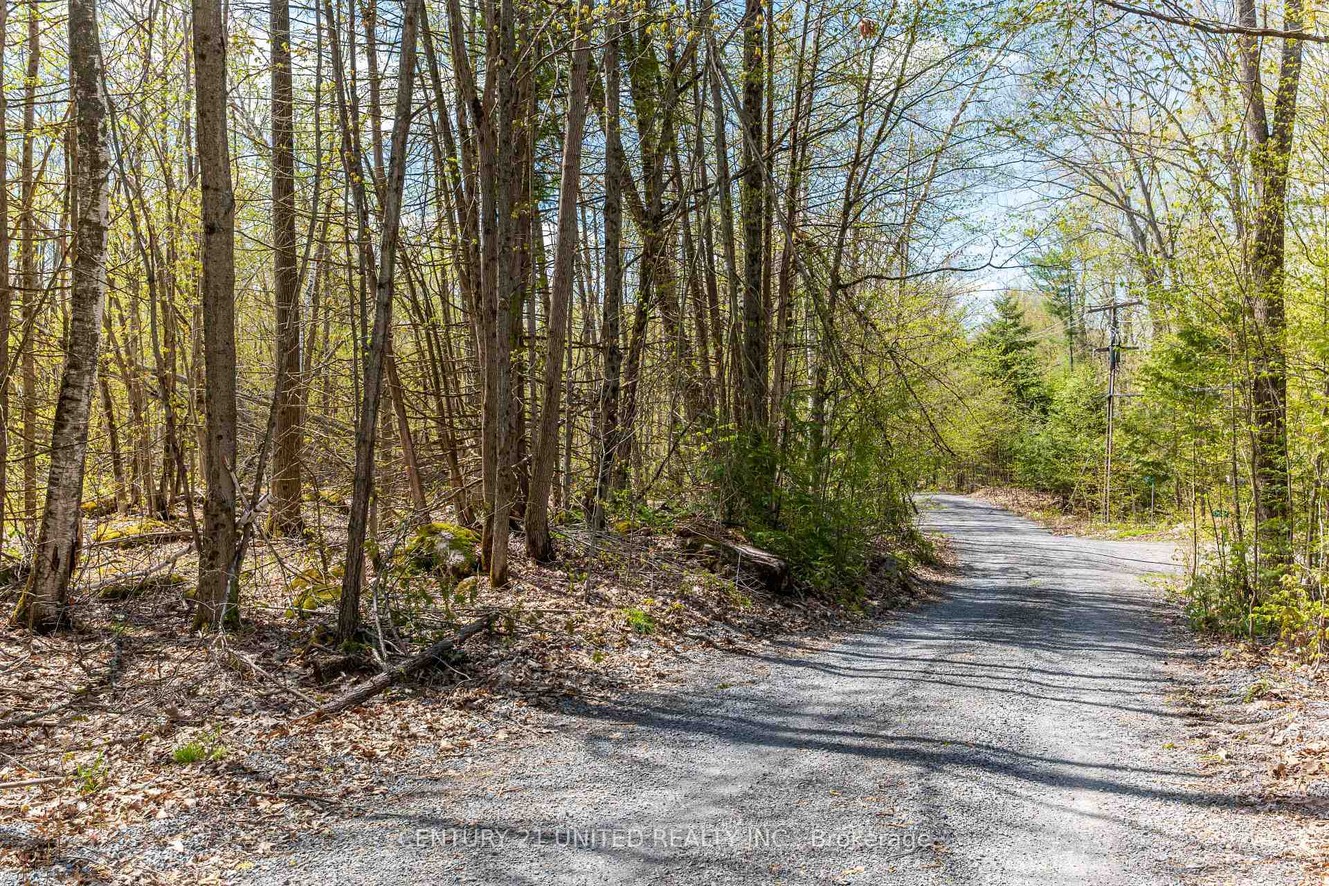 Photo 19 of 1030 Birchview Road, Douro-Dummer — HOMEH