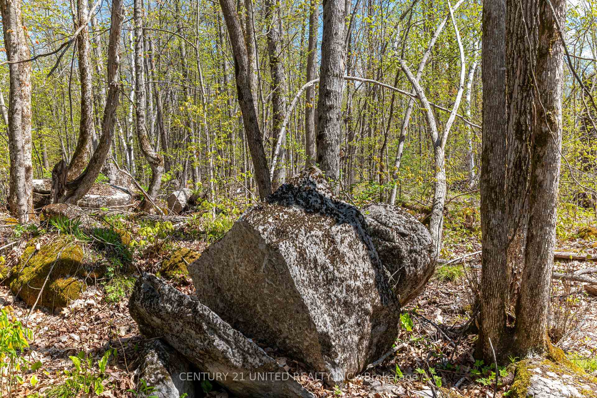 Photo 20 of 1030 Birchview Road, Douro-Dummer — HOMEH