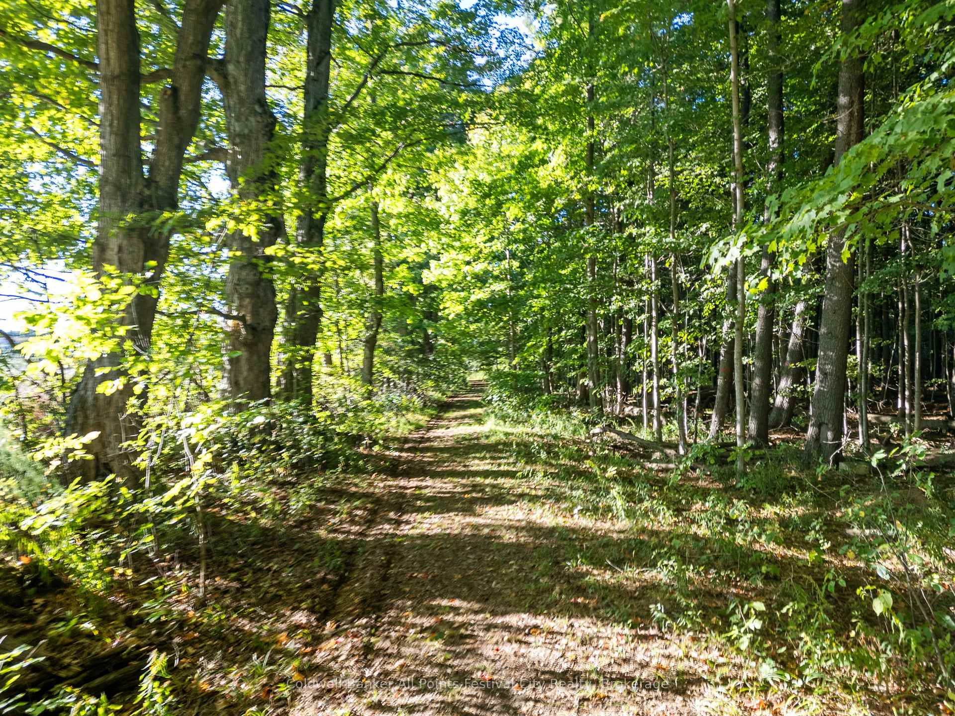 Photo 7 of 35449 Bayfield River Road, Central Huron, Goderich — HOMEH