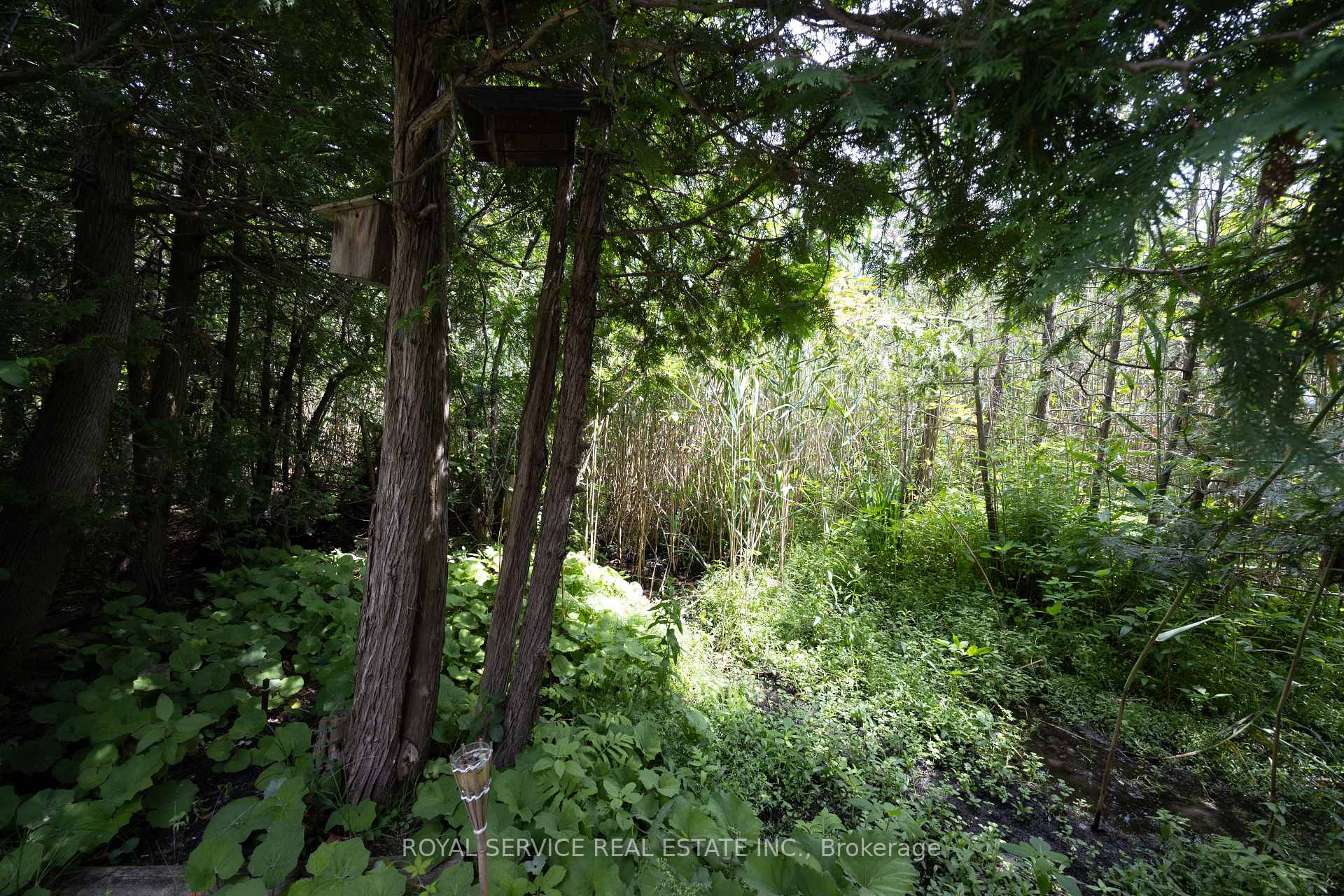 Photo 43 of 30 Brookside Street, Cavan Monaghan, Millbrook Village — HOMEH