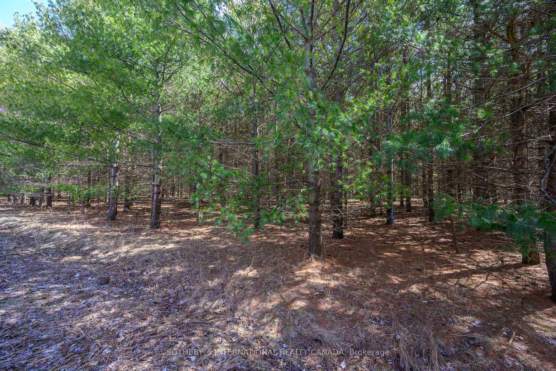 Photo 40 of Unit 22, 165 Terraview Crescent, Guelph, Kortright West — HOMEH