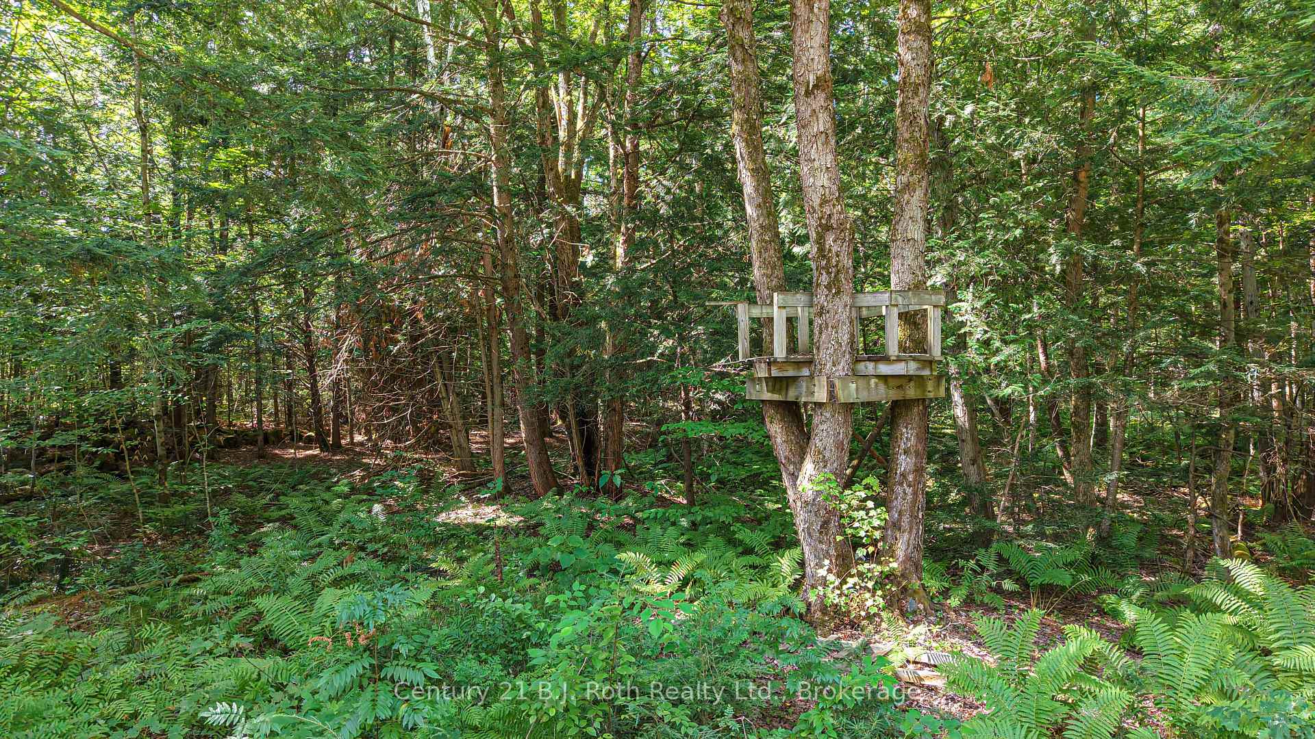 Photo 40 of 2289 Southwood Road, Gravenhurst, Morrison — HOMEH