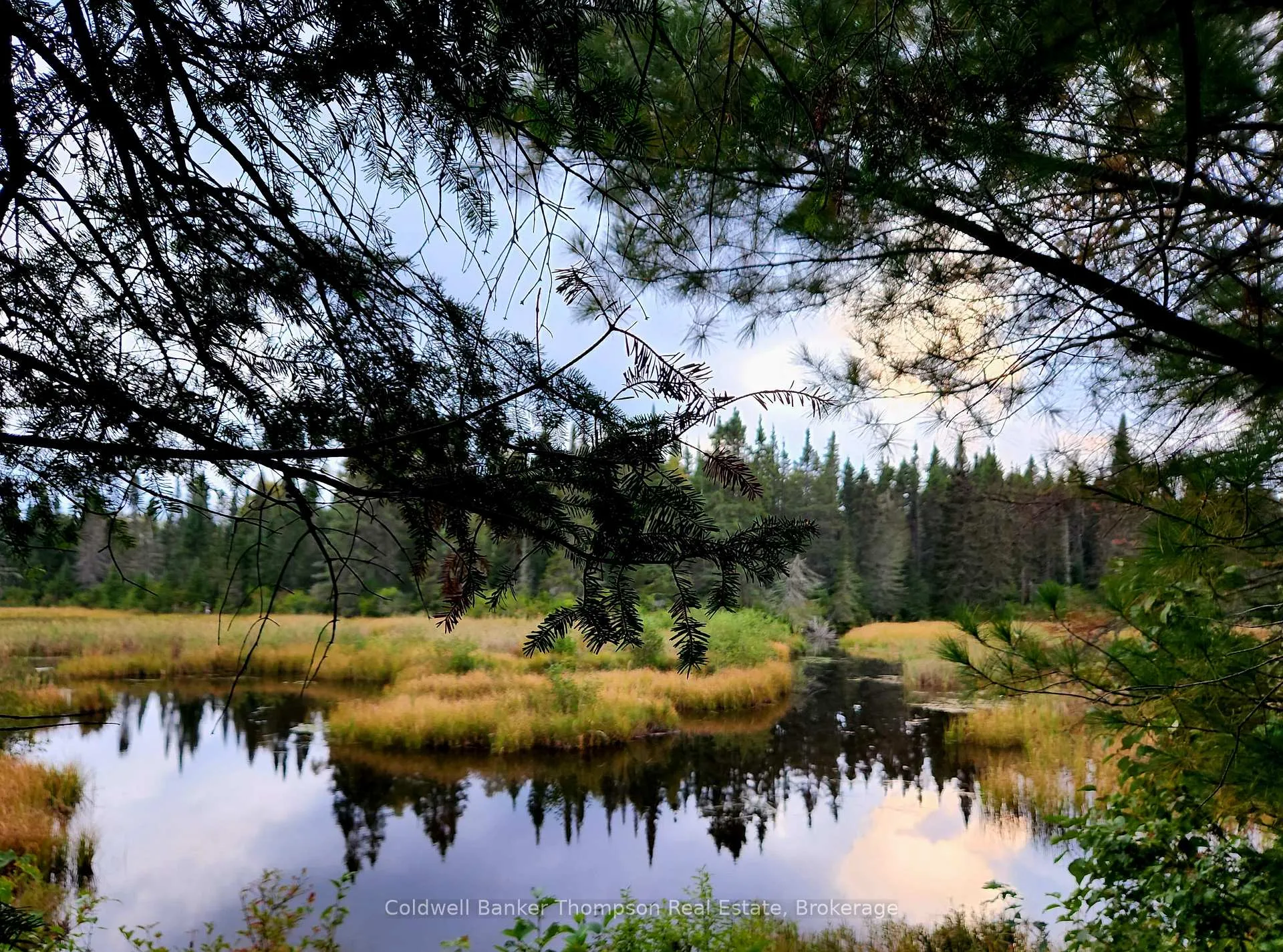 Photo 3 of River Road, Joly — HOMEH