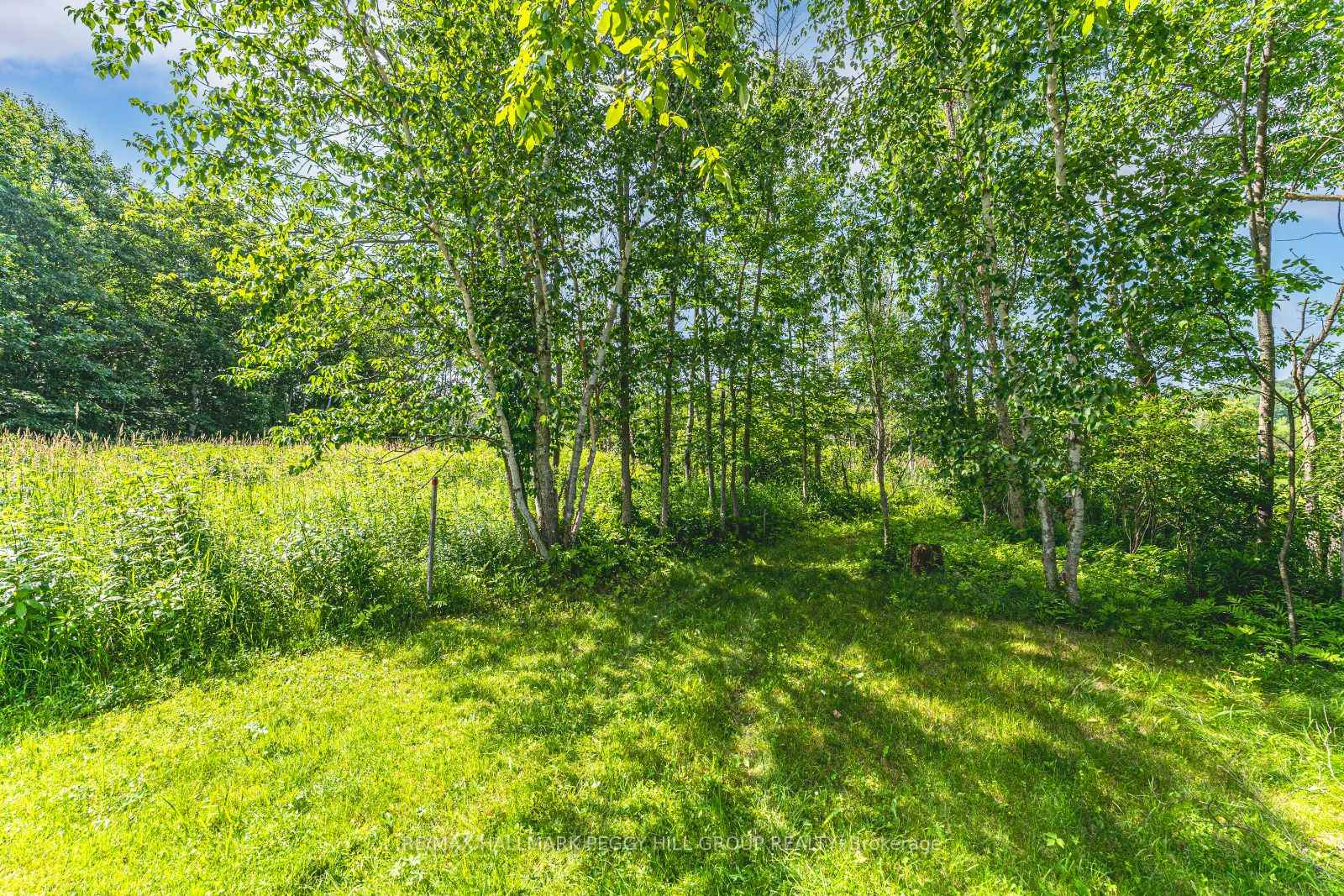 Photo 4 of 91B Highway 124, McDougall — HOMEH