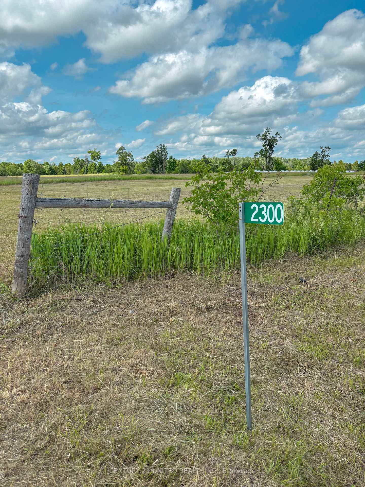 Photo 8 of 2300 Dummer-Asphodel Road N, Douro-Dummer — HOMEH