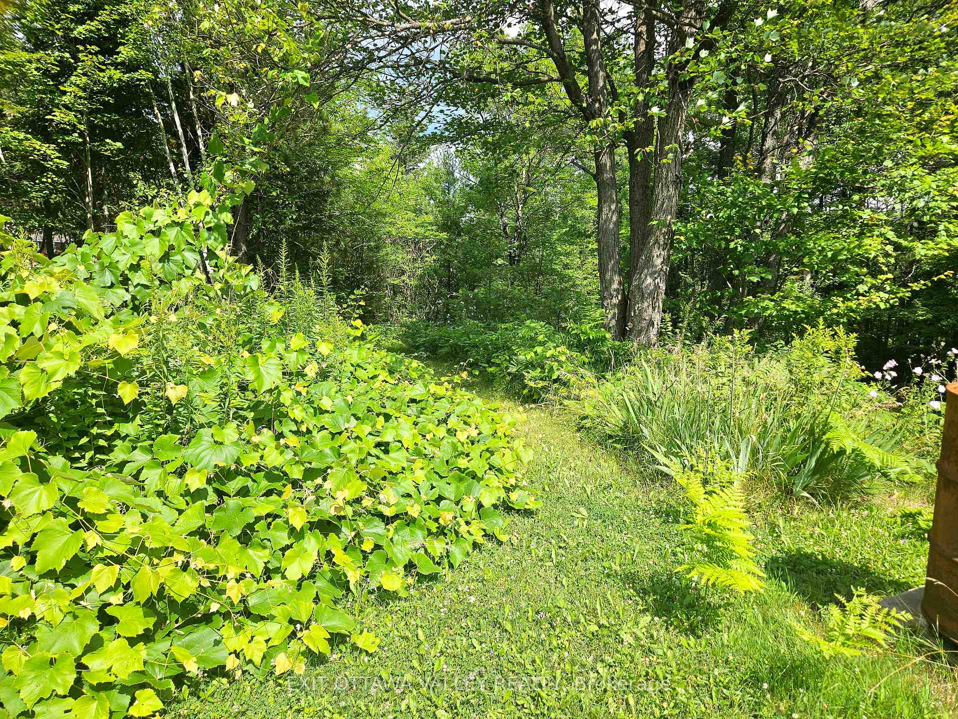 Photo 43 of 40496 17 Highway, Head, Clara and Maria, Head Twp — HOMEH