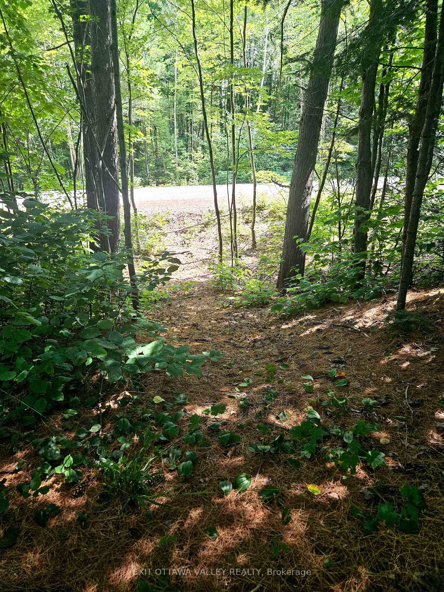 Photo 38 of 40496 17 Highway, Head, Clara and Maria, Head Twp — HOMEH