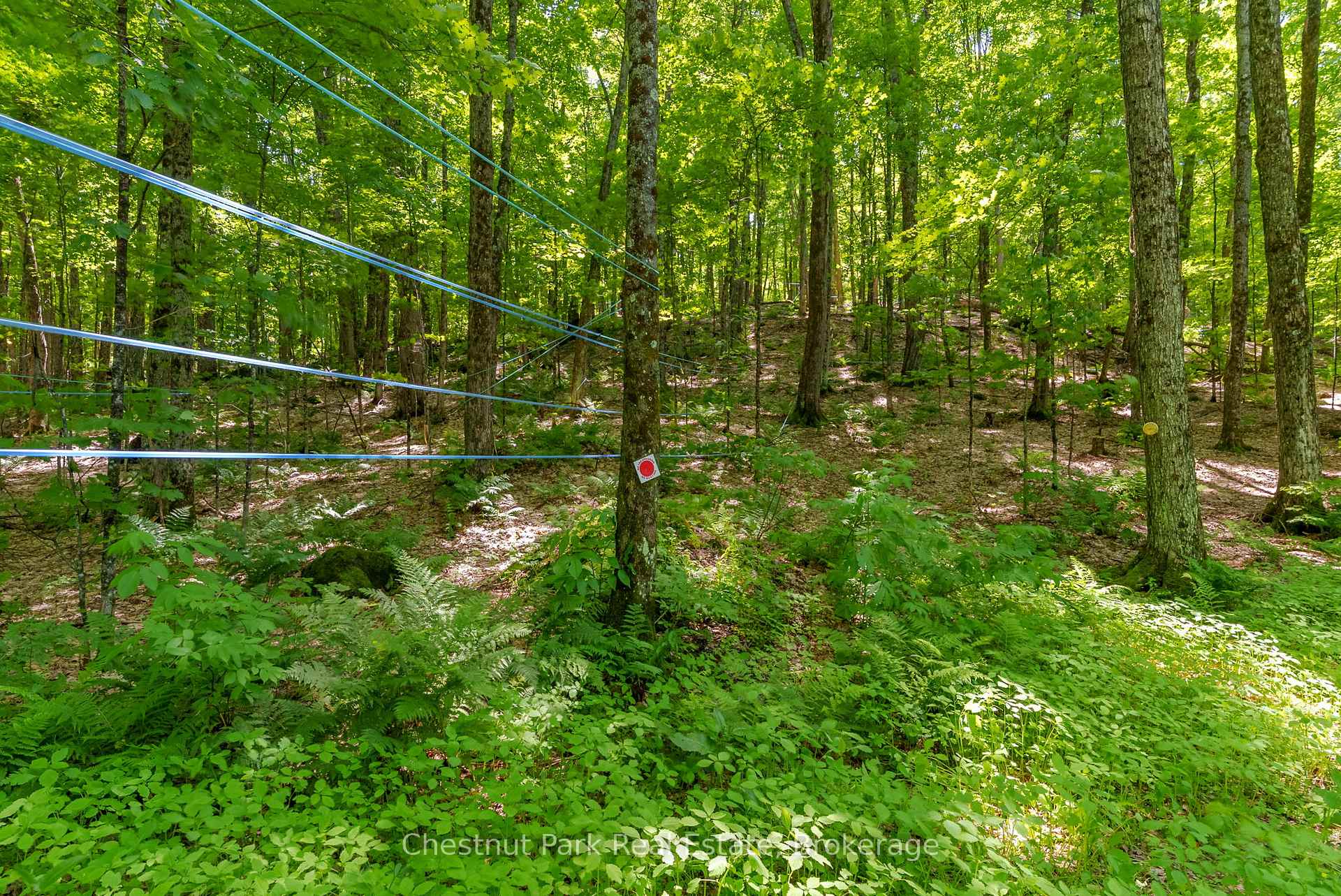 Photo 42 of 487 O'connor Line Road, Powassan — HOMEH