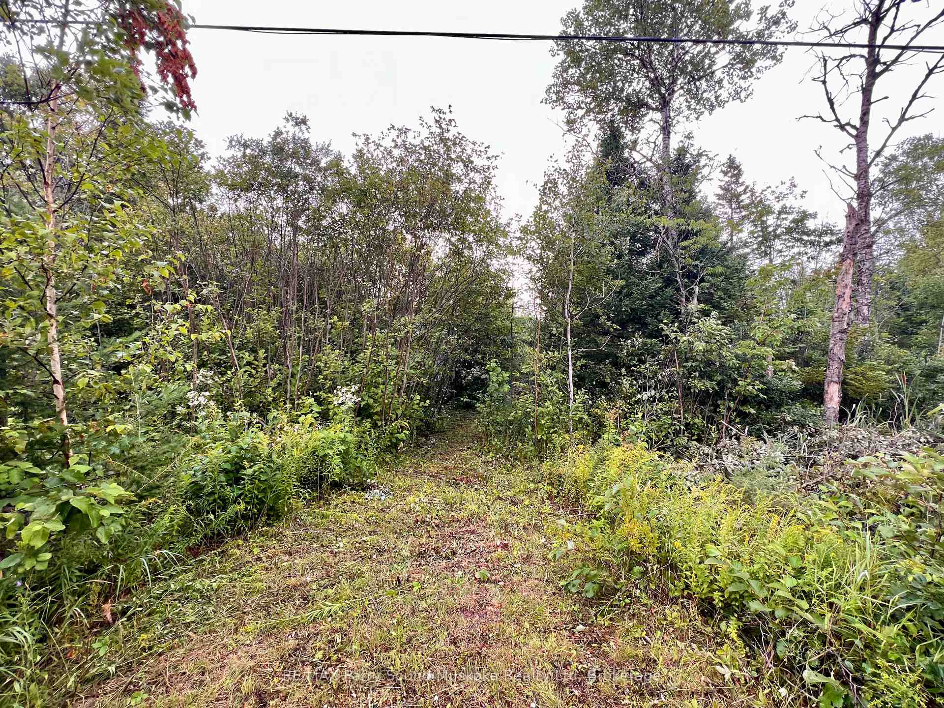 Photo 1 of 6512 Highway 124 520, Magnetawan — HOMEH