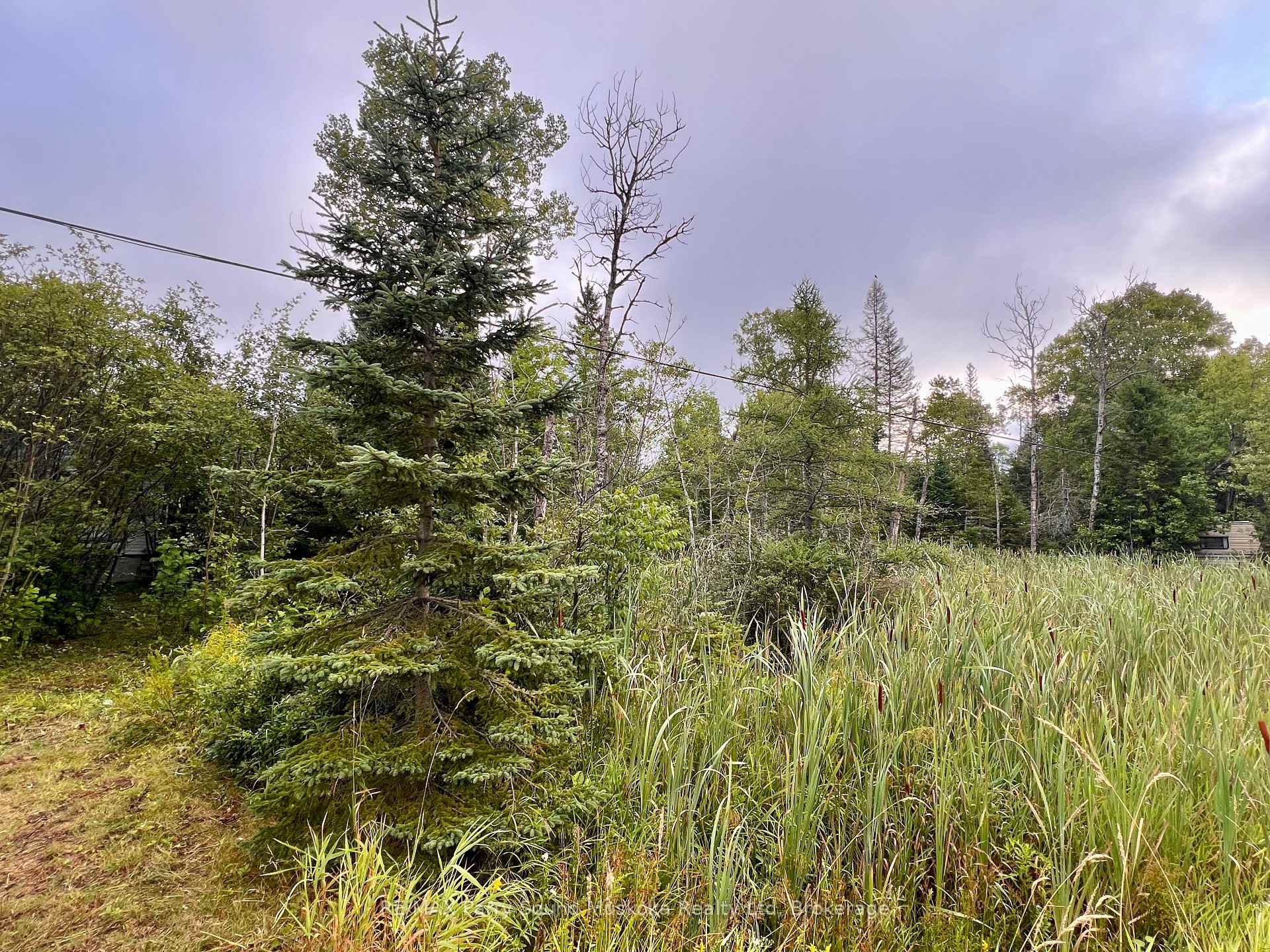Photo 4 of 6512 Highway 124 520, Magnetawan — HOMEH