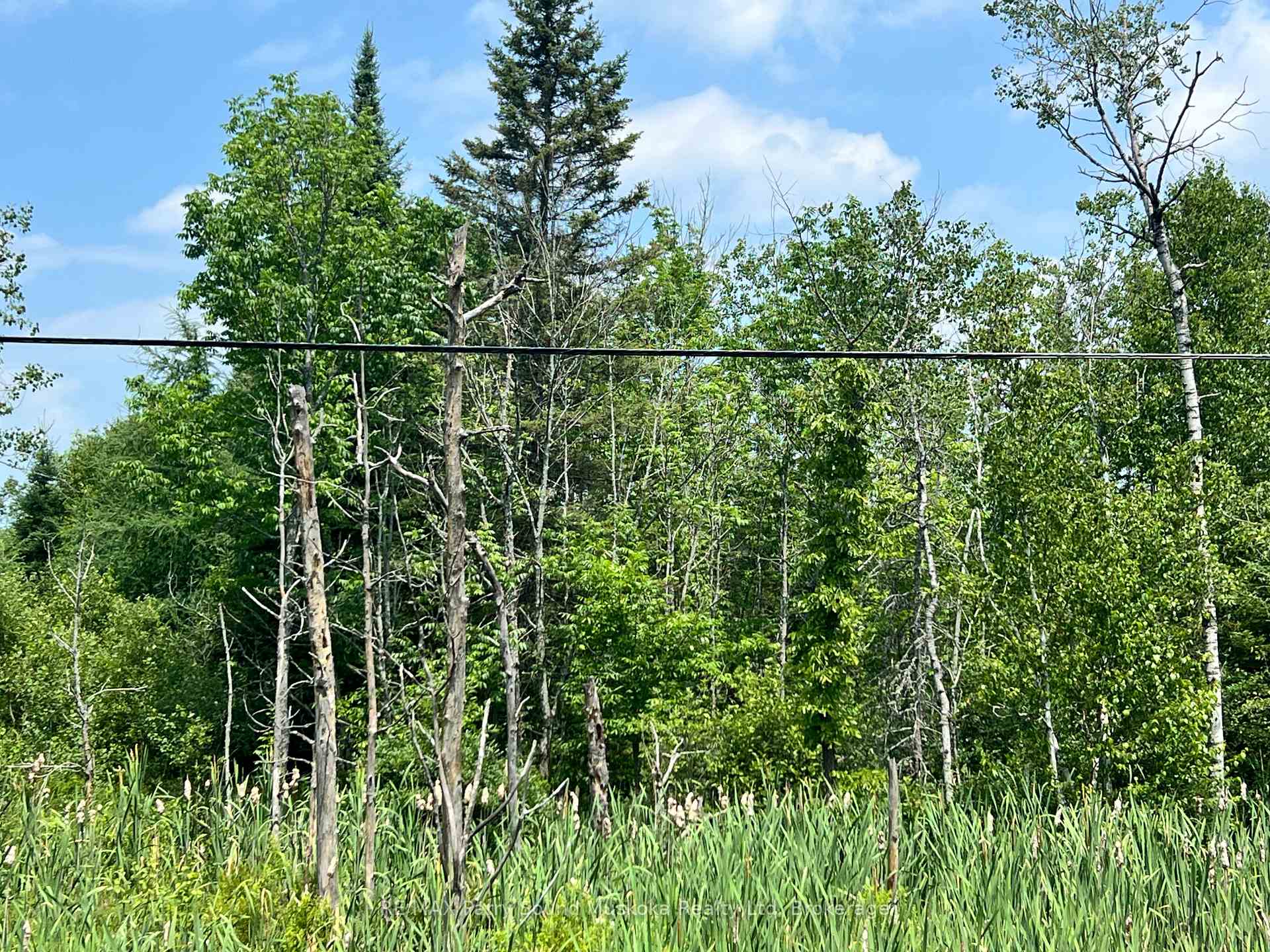 Photo 7 of 6512 Highway 124 520, Magnetawan — HOMEH