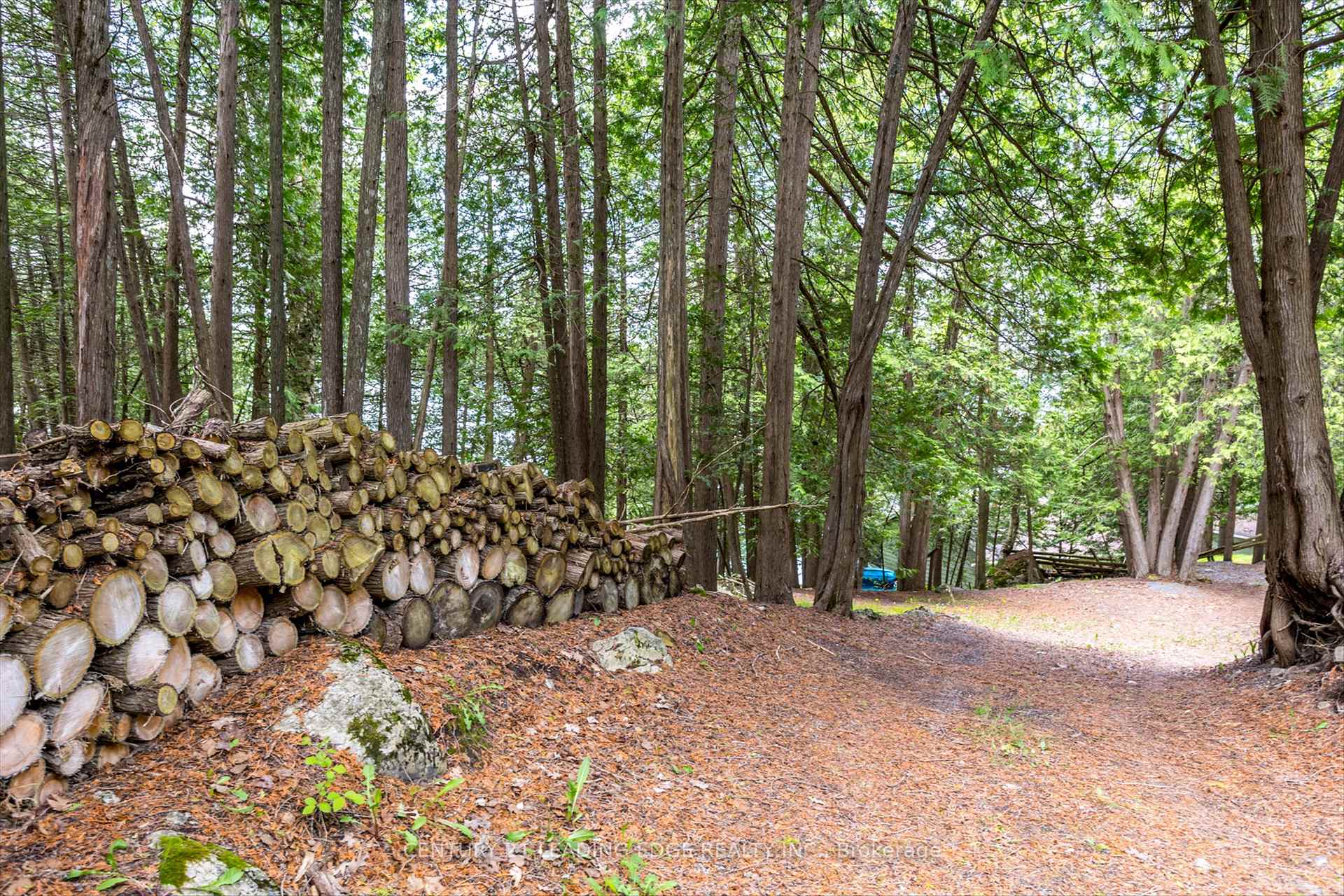 Photo 21 of 1956 White Lake Road E, Douro-Dummer — HOMEH