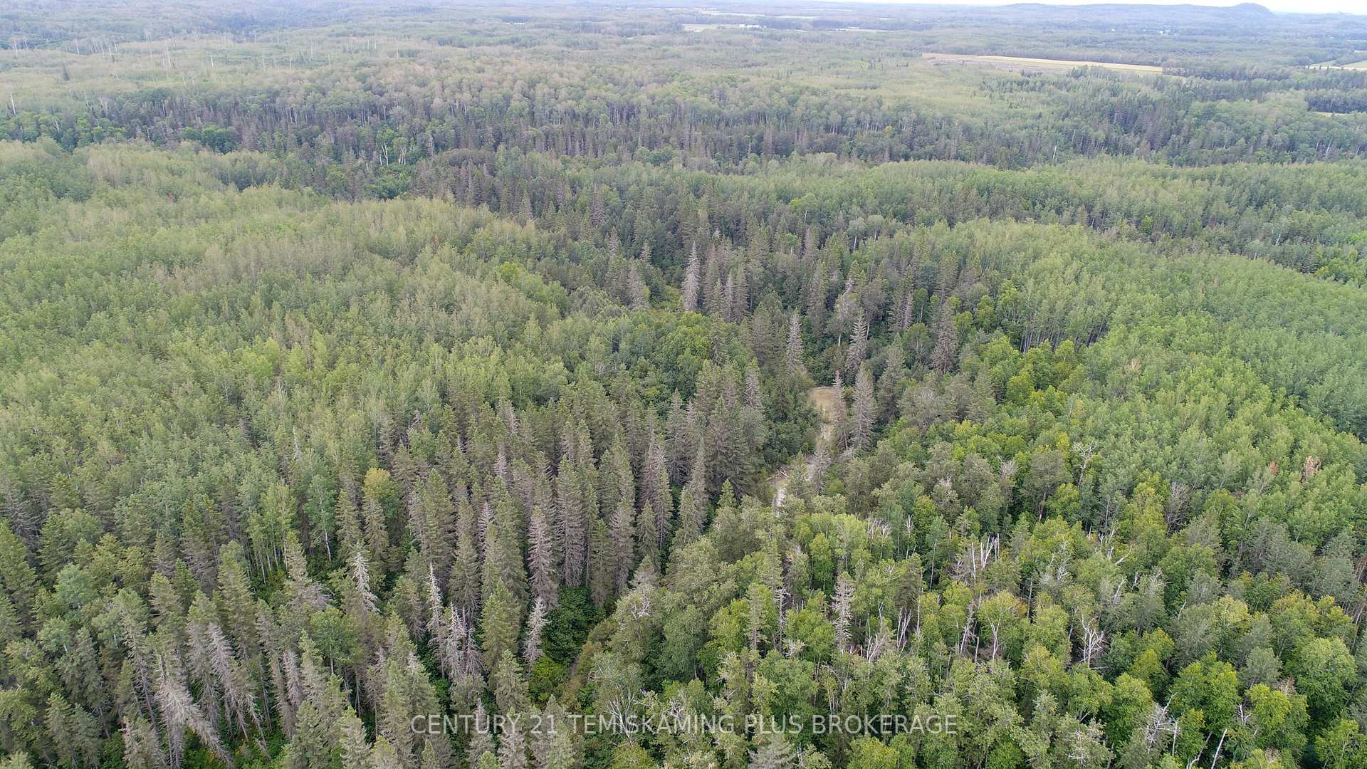 Photo 12 of LT6C4 Spruce Grove Road, Englehart, Central Timiskaming — HOMEH