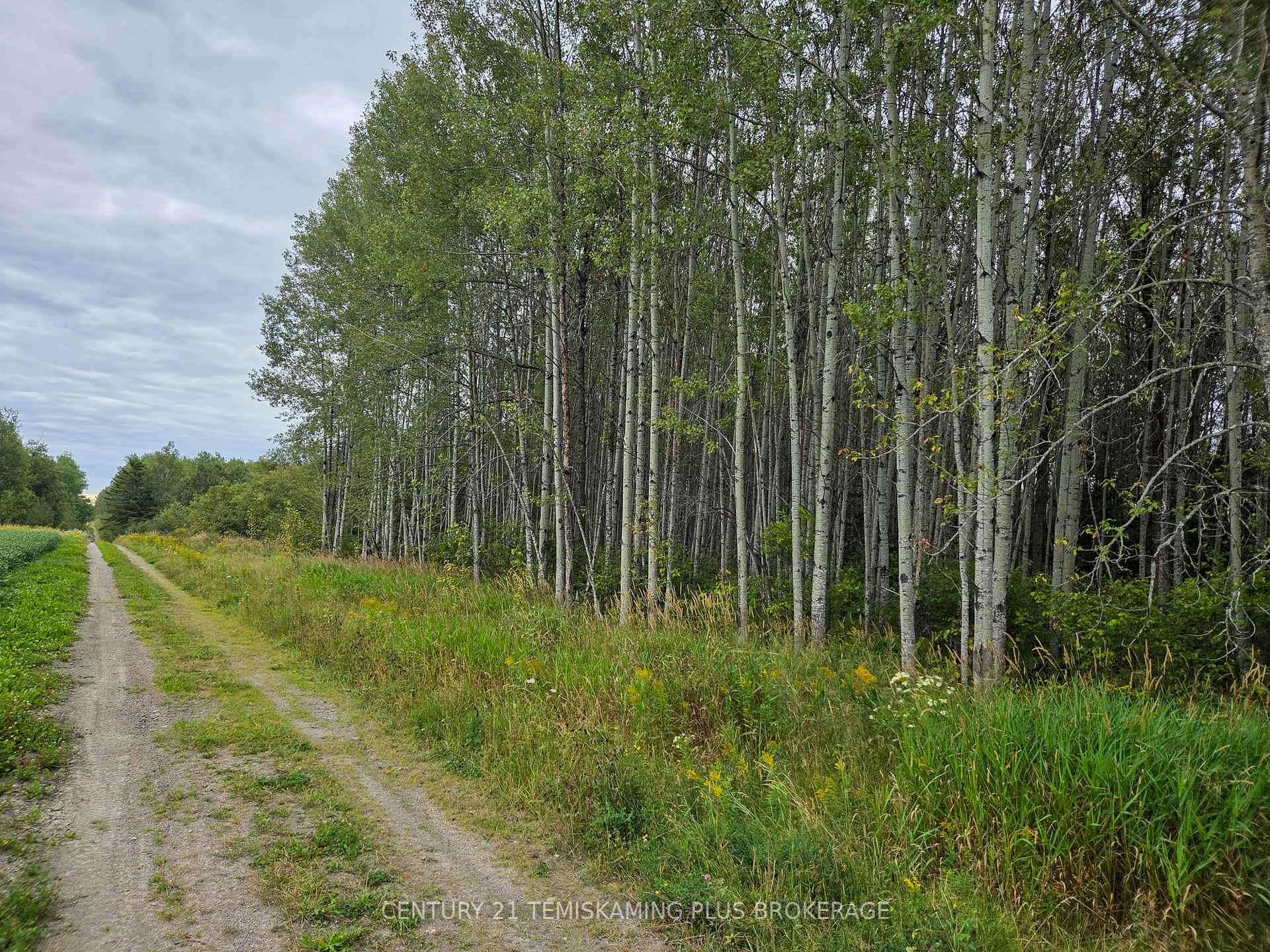 Photo 26 of LT6C4 Spruce Grove Road, Englehart, Central Timiskaming — HOMEH