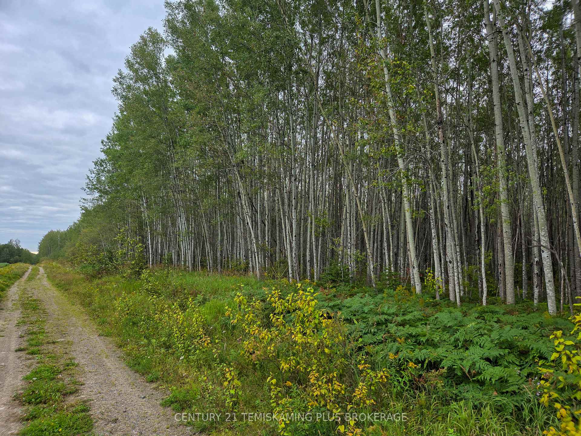 Photo 28 of LT6C4 Spruce Grove Road, Englehart, Central Timiskaming — HOMEH