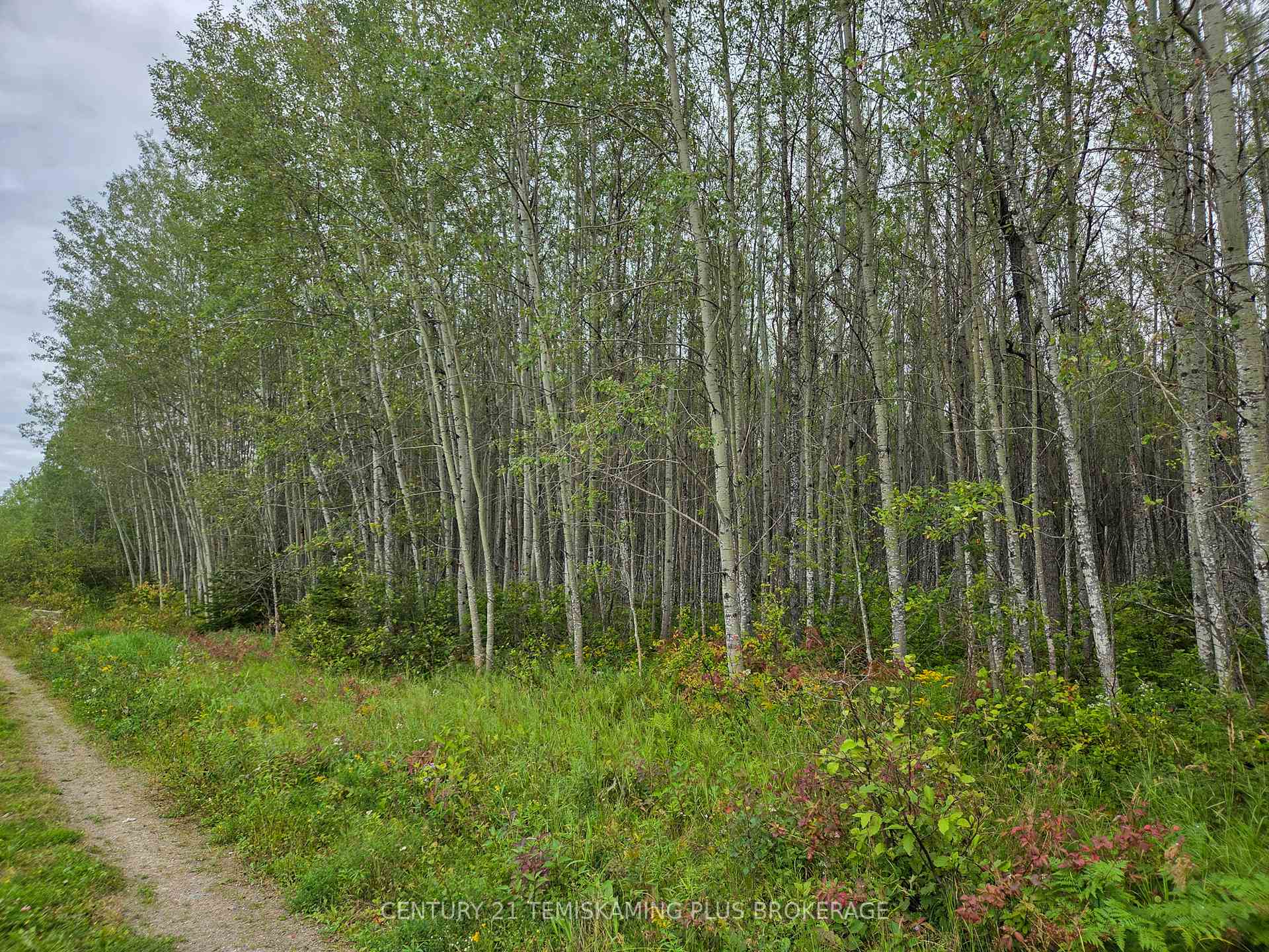 Photo 31 of LT6C4 Spruce Grove Road, Englehart, Central Timiskaming — HOMEH