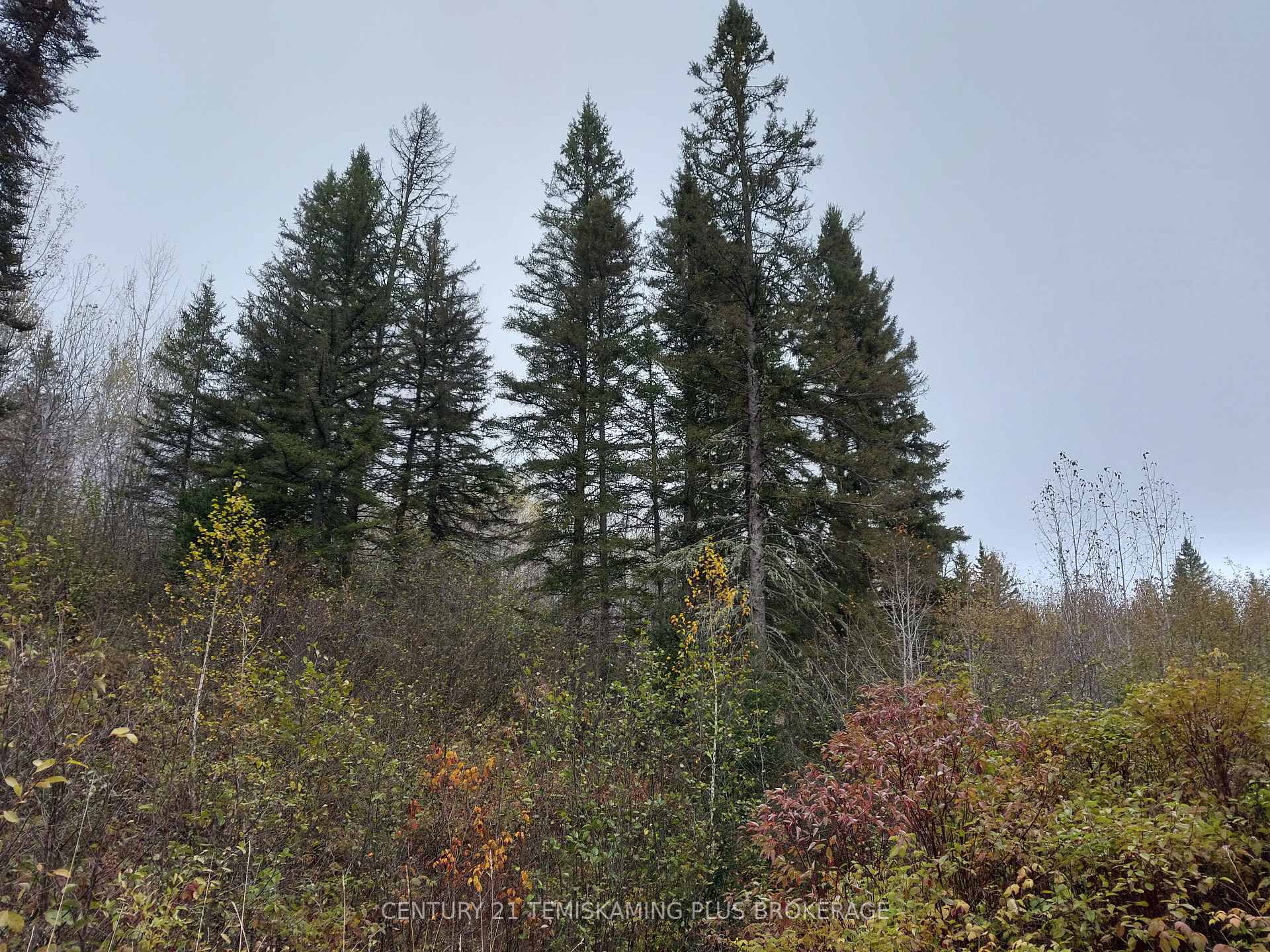 Photo 38 of LT6C4 Spruce Grove Road, Englehart, Central Timiskaming — HOMEH