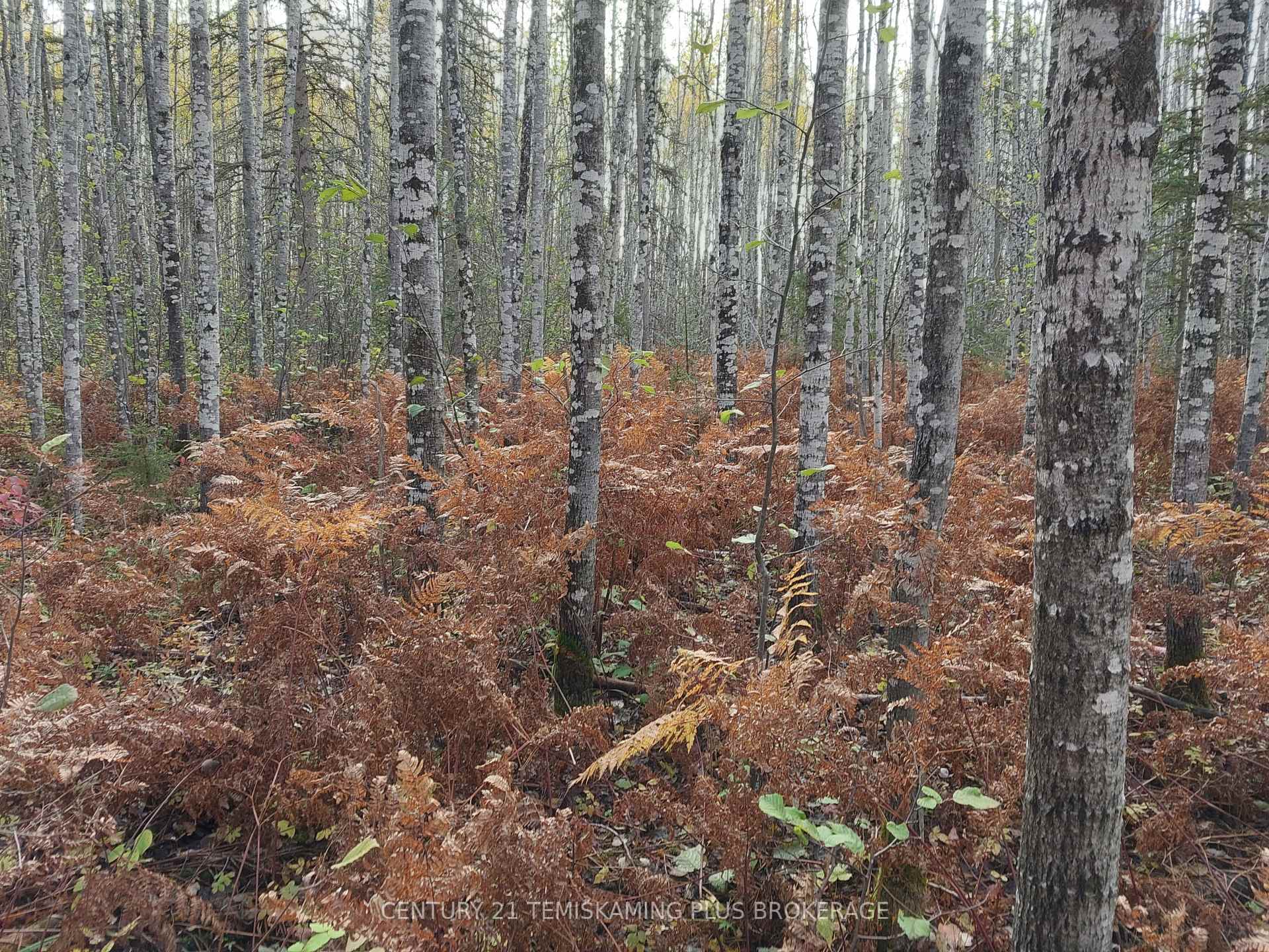 Photo 39 of LT6C4 Spruce Grove Road, Englehart, Central Timiskaming — HOMEH