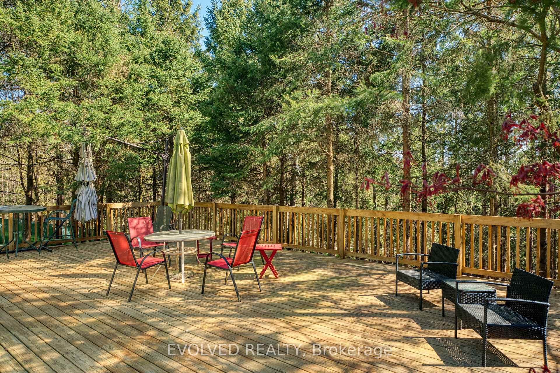 Photo 45 of 1336 Safari Road, Hamilton, Rural Flamborough — HOMEH