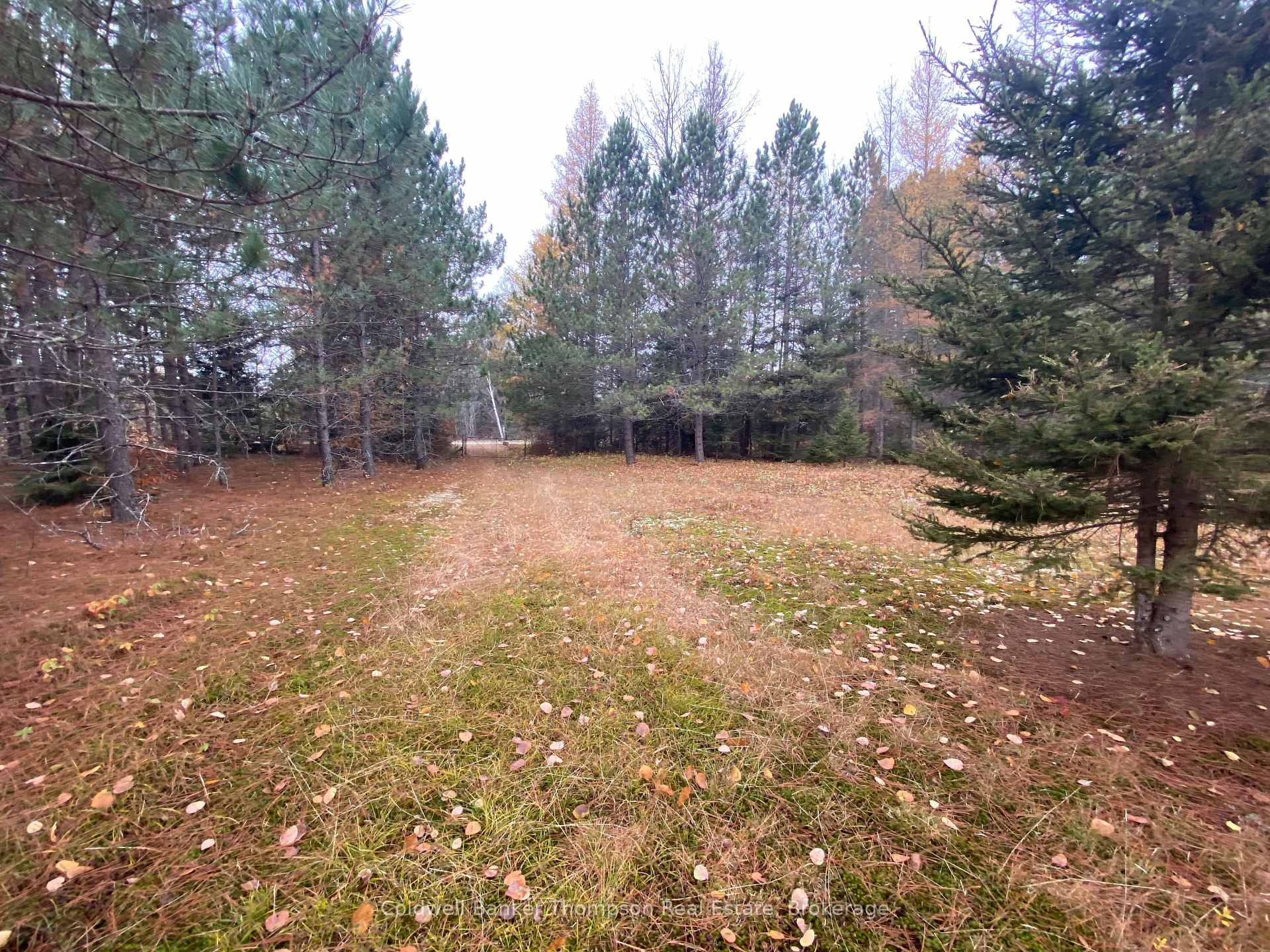 Photo 16 of 346 Brennan'S Road, Joly — HOMEH