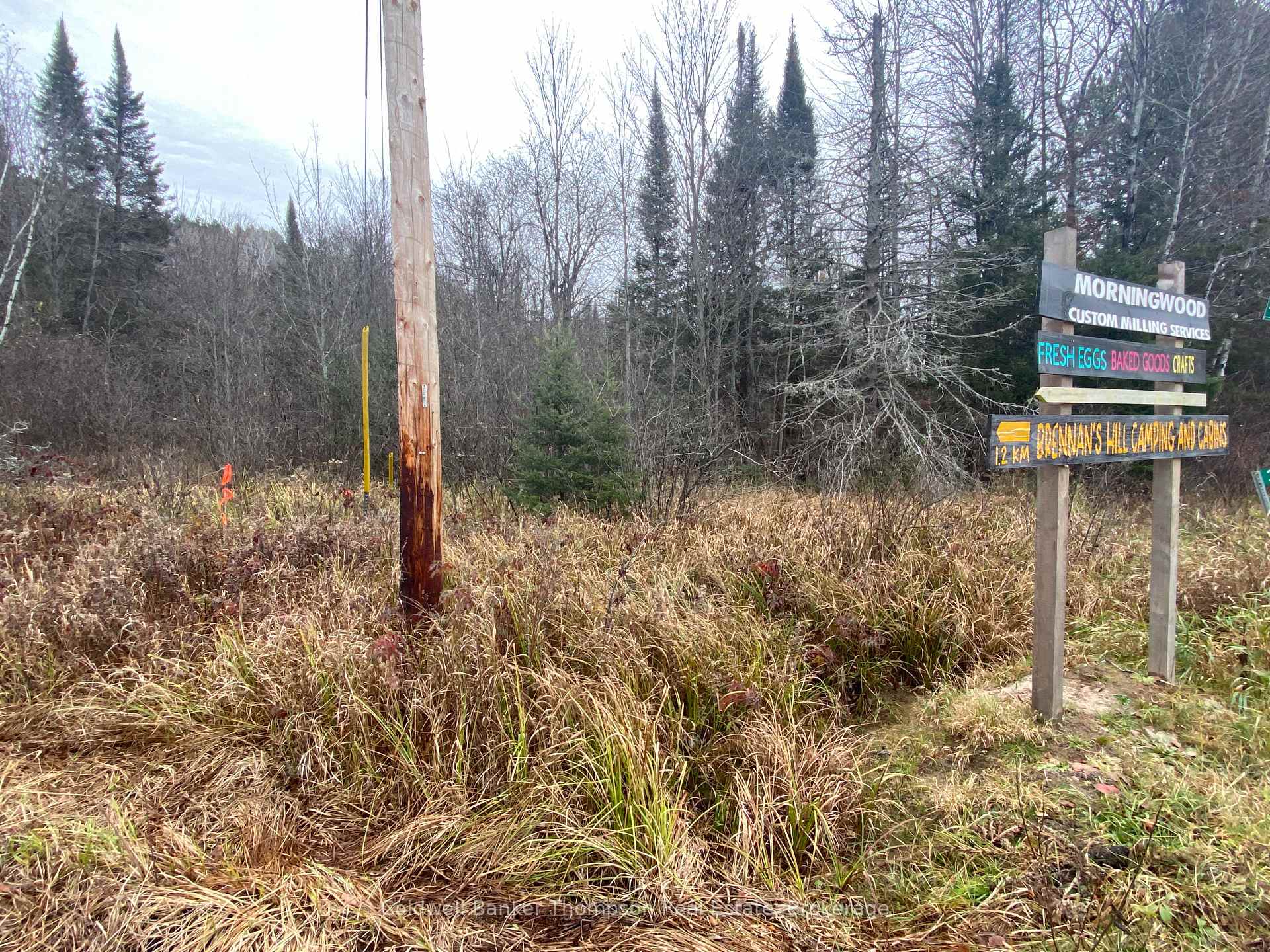 Photo 19 of 346 Brennan'S Road, Joly — HOMEH