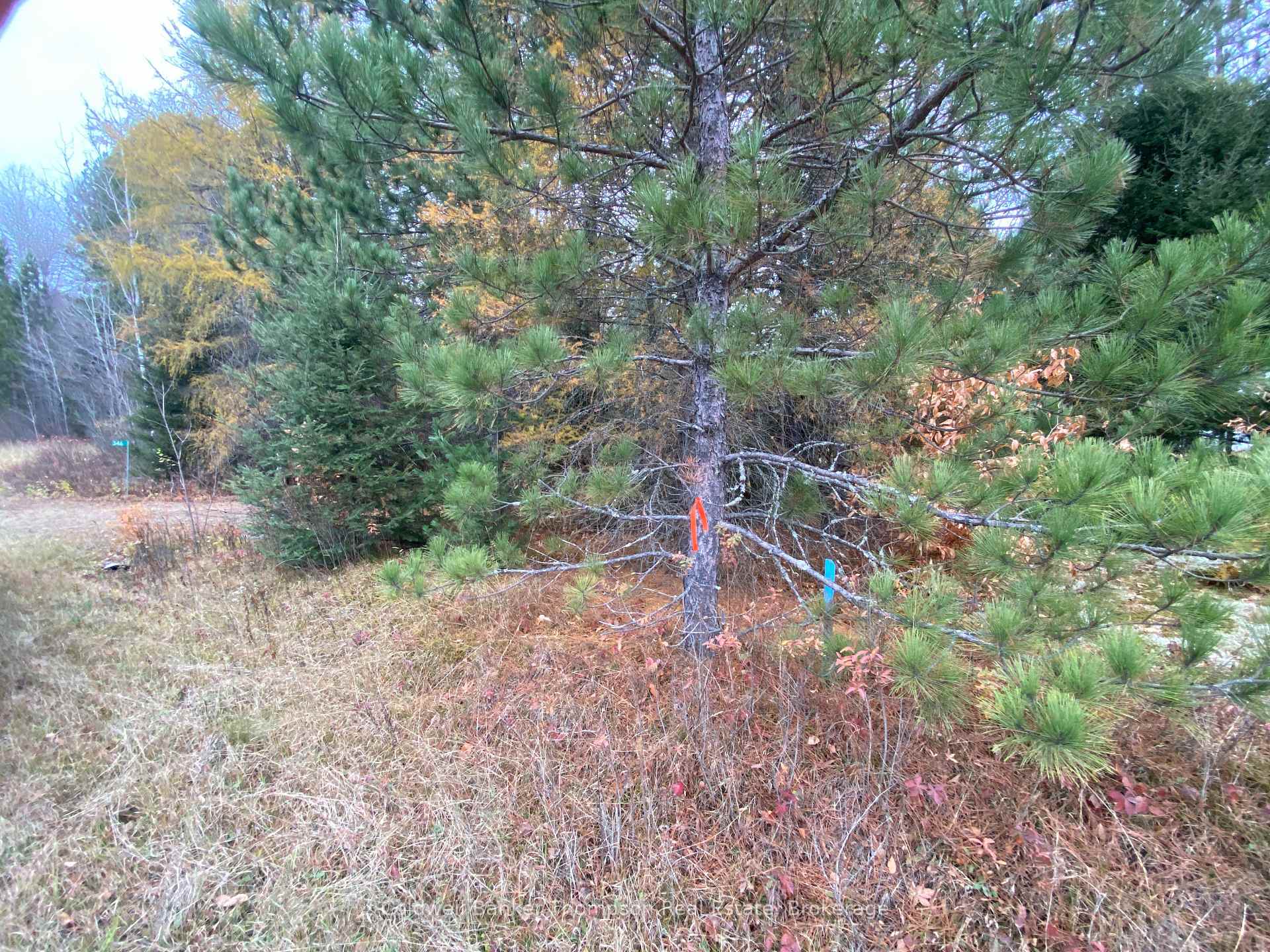 Photo 25 of 346 Brennan'S Road, Joly — HOMEH