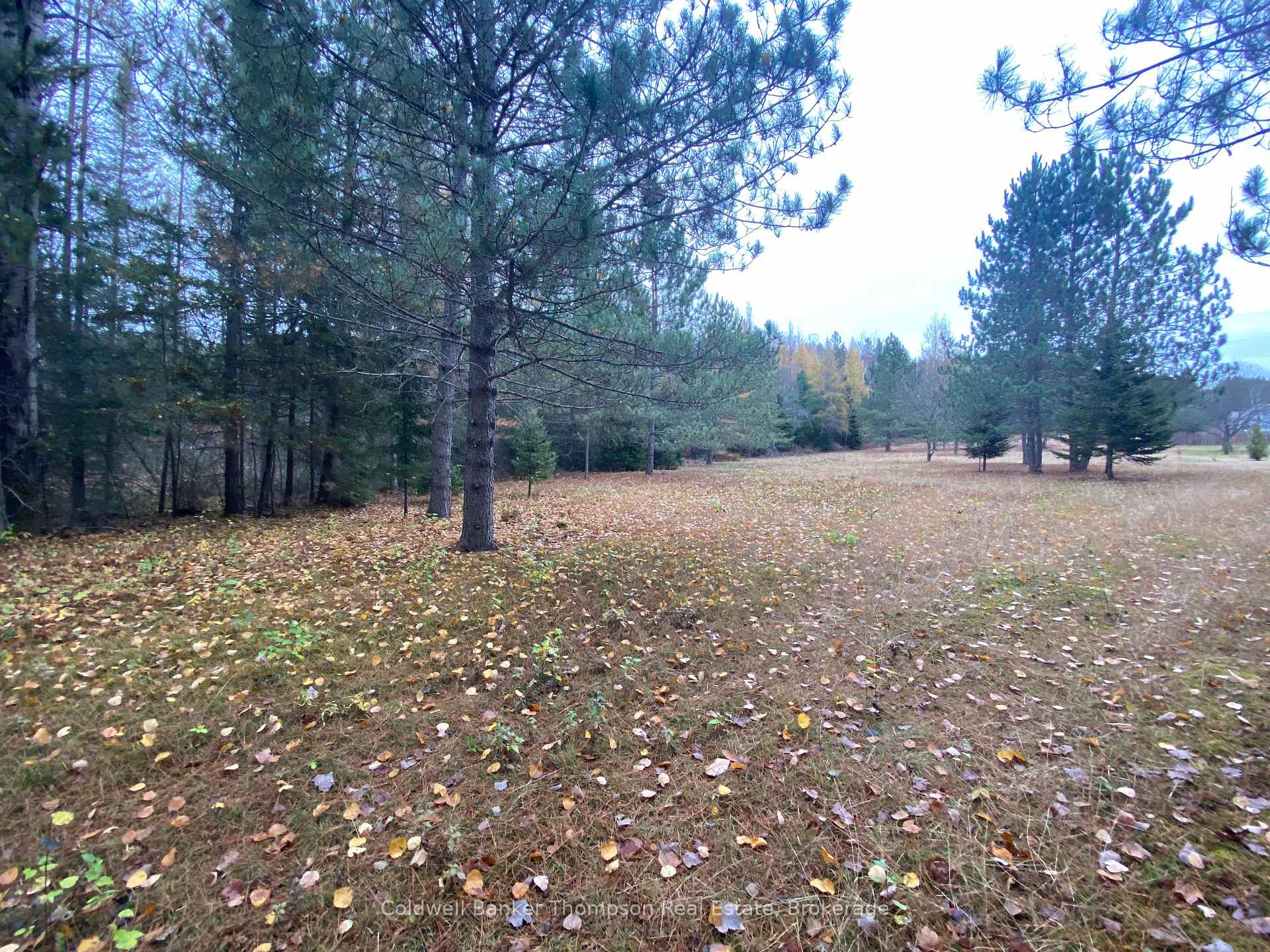 Photo 26 of 346 Brennan'S Road, Joly — HOMEH