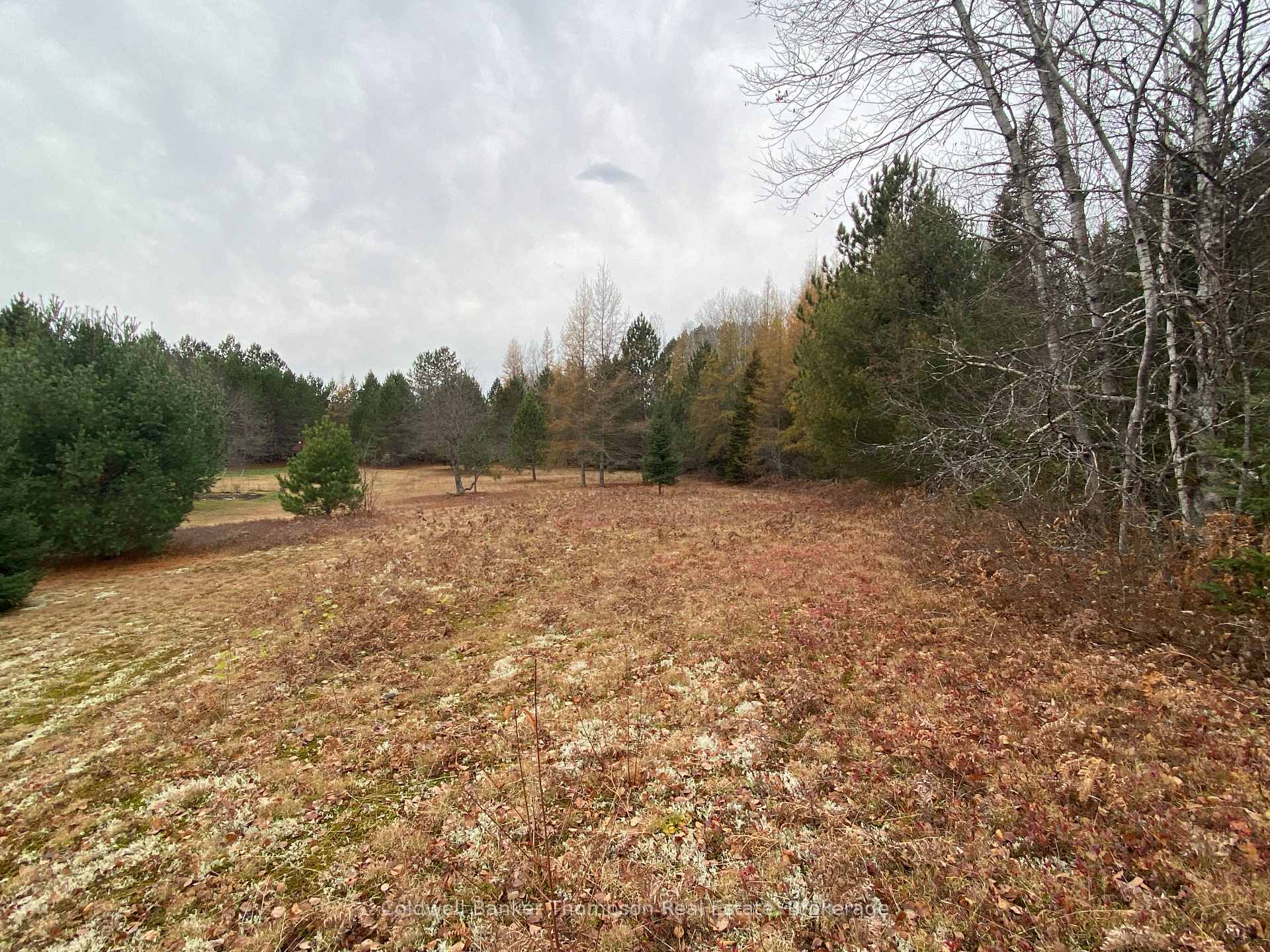 Photo 29 of 346 Brennan'S Road, Joly — HOMEH