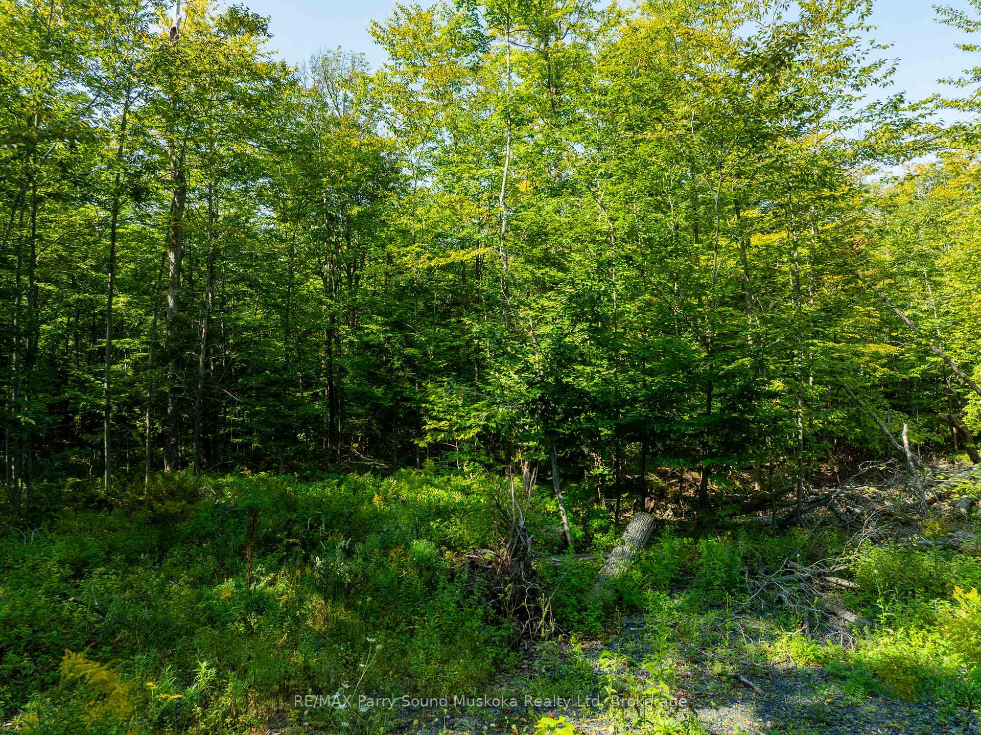 Photo 3 of 18 Burnside Bridge Road, McDougall — HOMEH