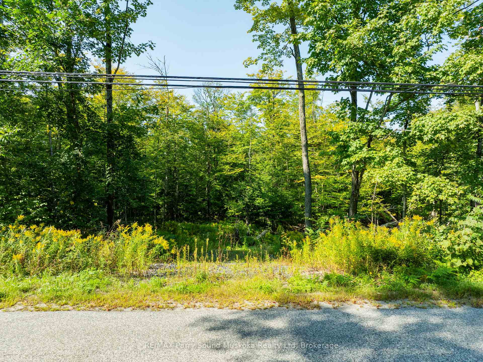 Photo 15 of 18 Burnside Bridge Road, McDougall — HOMEH