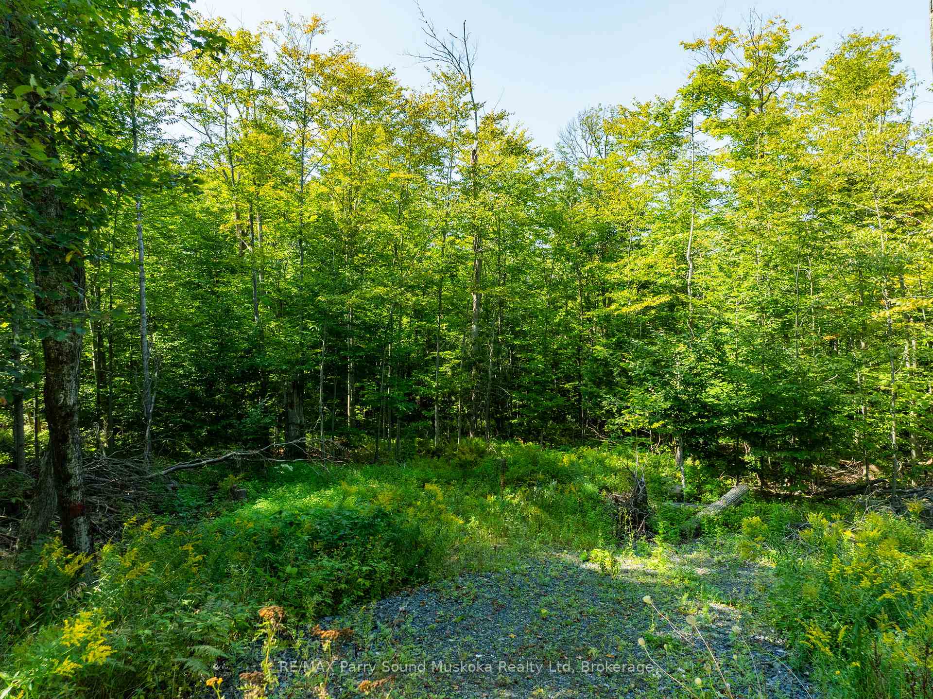 Photo 16 of 18 Burnside Bridge Road, McDougall — HOMEH