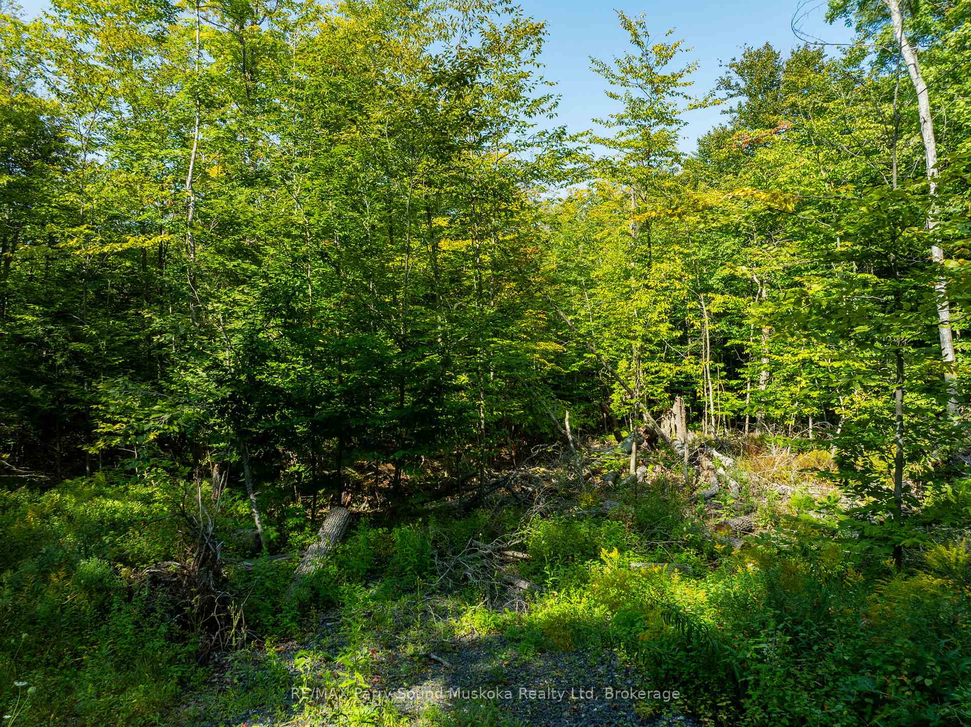 Photo 17 of 18 Burnside Bridge Road, McDougall — HOMEH