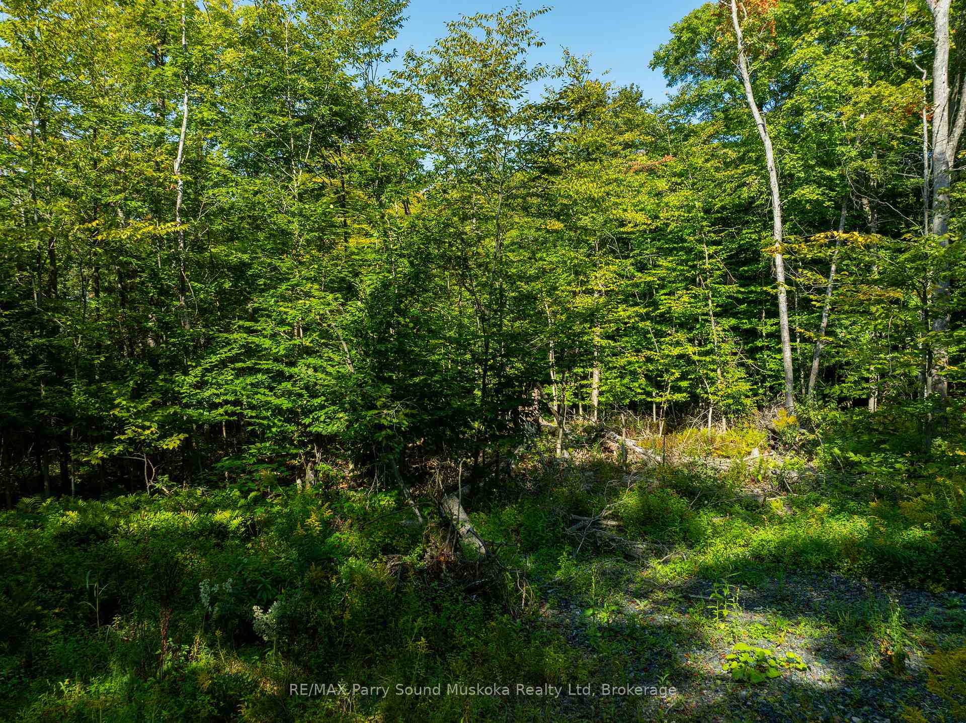 Photo 18 of 18 Burnside Bridge Road, McDougall — HOMEH