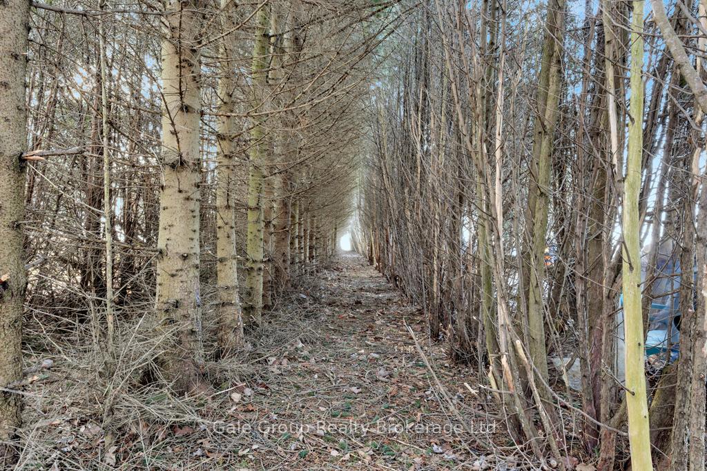 Photo 3 of 7150 Talbot Trail, Chatham-Kent, Blenheim — HOMEH