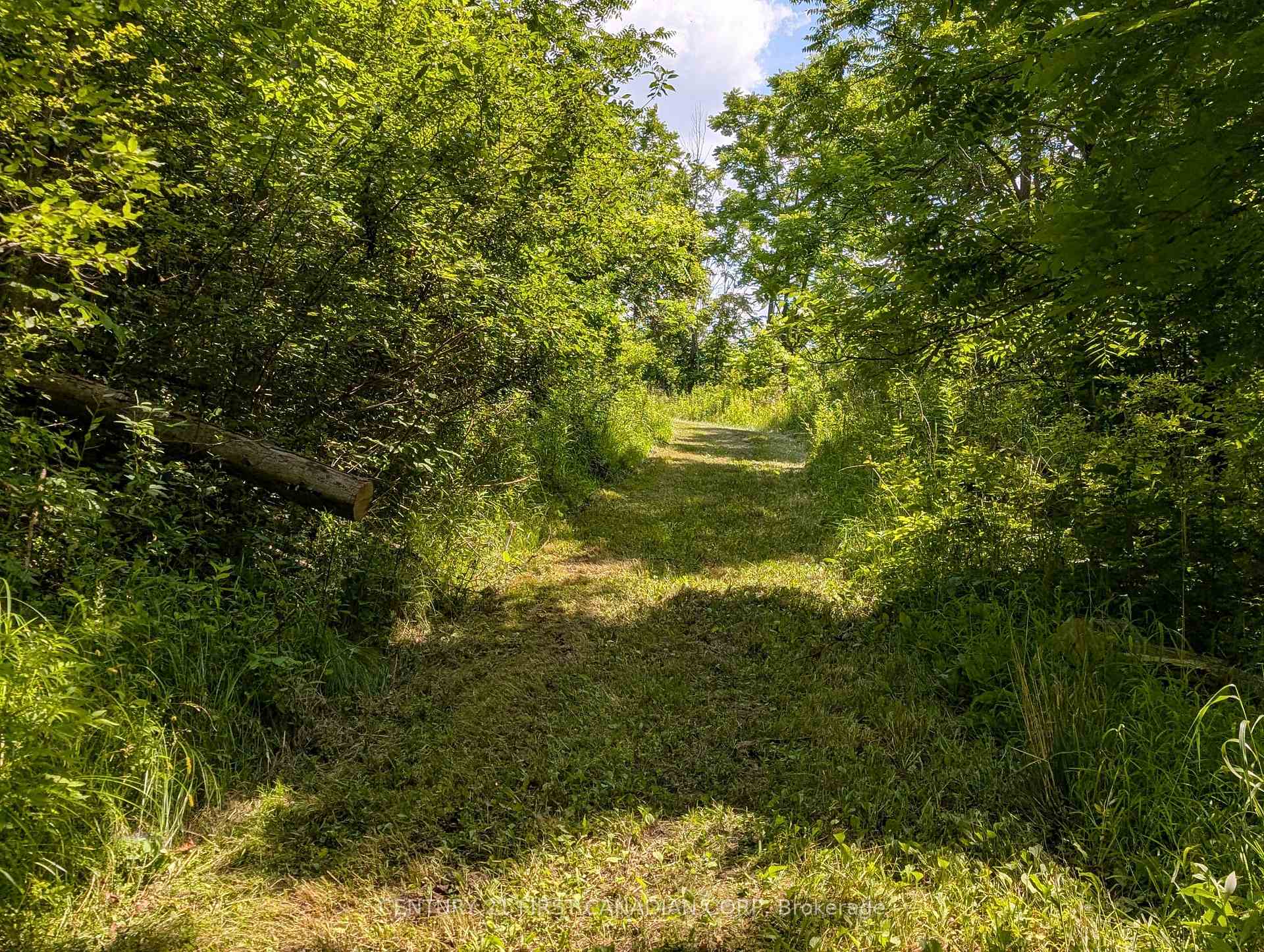 Photo 26 of 2102 Cameron Road, Dawn-Euphemia — HOMEH