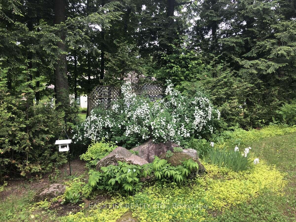 Photo 9 of 704 Pattee Road, Champlain, Champlain Twp — HOMEH