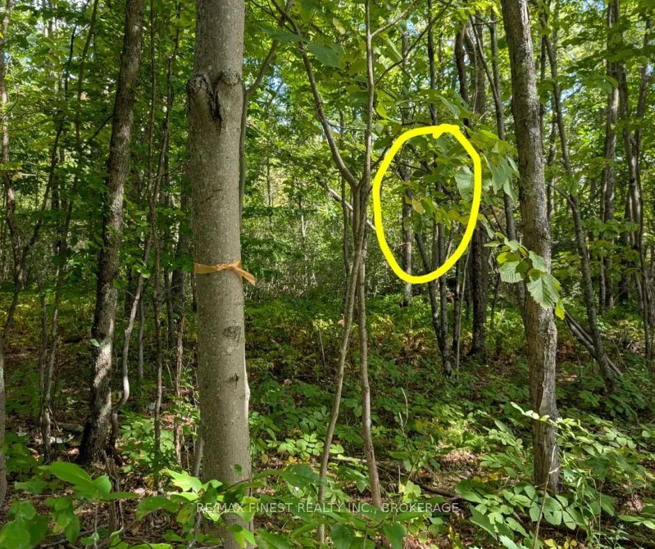 Photo 5 of Davey Road, Frontenac, Frontenac Centre — HOMEH