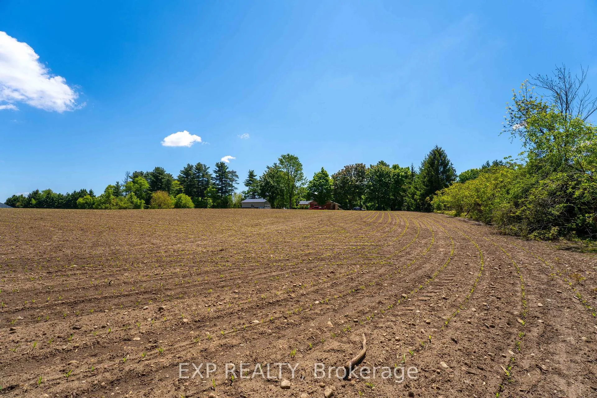 Photo 4 of 1 Seventh Concession Road, Brant, Burford — HOMEH