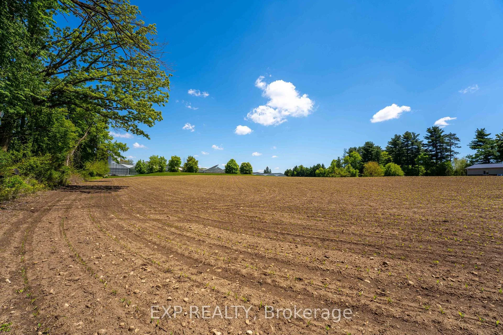 Photo 5 of 1 Seventh Concession Road, Brant, Burford — HOMEH