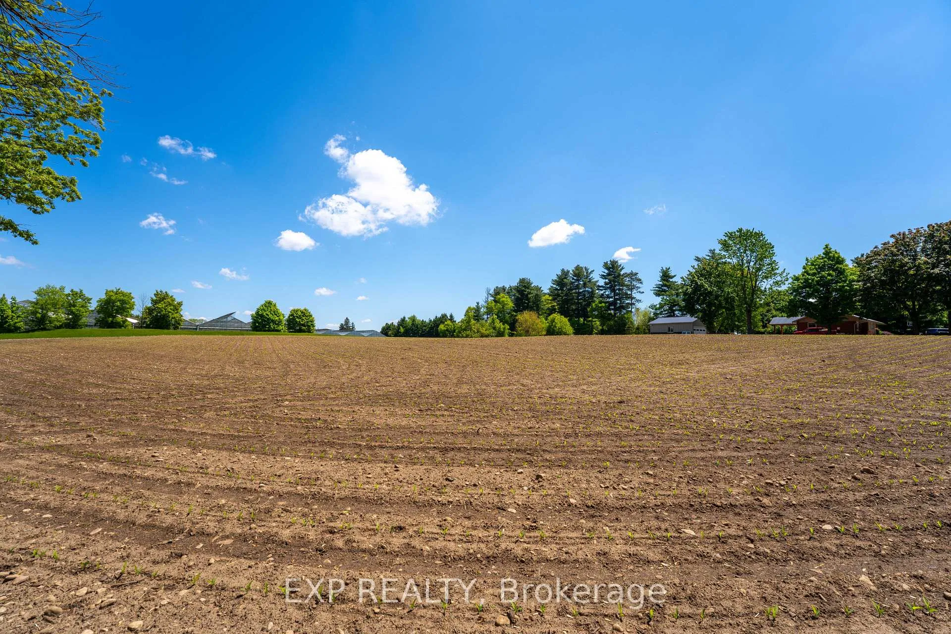 Photo 6 of 1 Seventh Concession Road, Brant, Burford — HOMEH