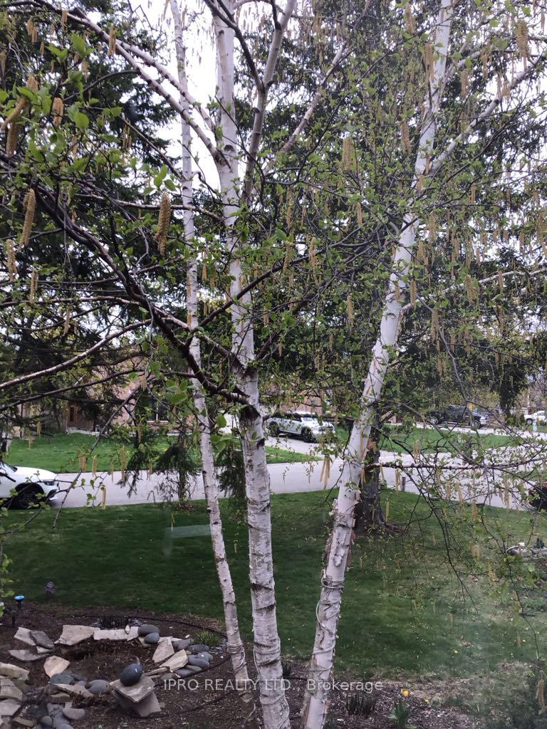 Photo 5 of 41 Marchmount Crescent, Brampton, Central Park — HOMEH