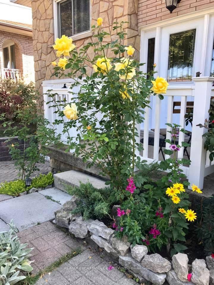 Photo 37 of 19 Normajean Avenue, Hamilton, Eleanor — HOMEH