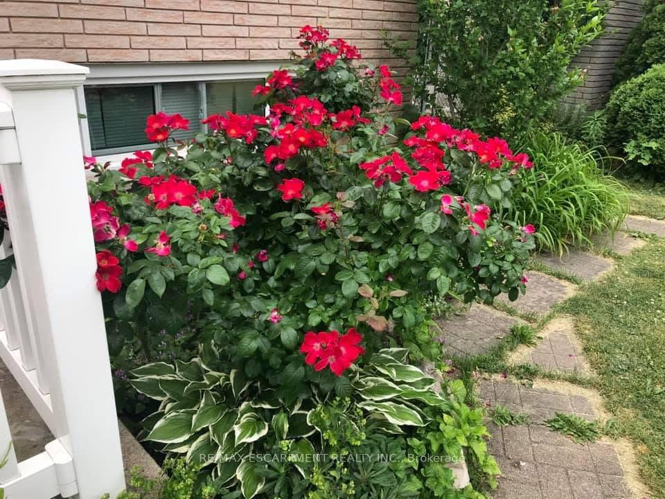 Photo 38 of 19 Normajean Avenue, Hamilton, Eleanor — HOMEH