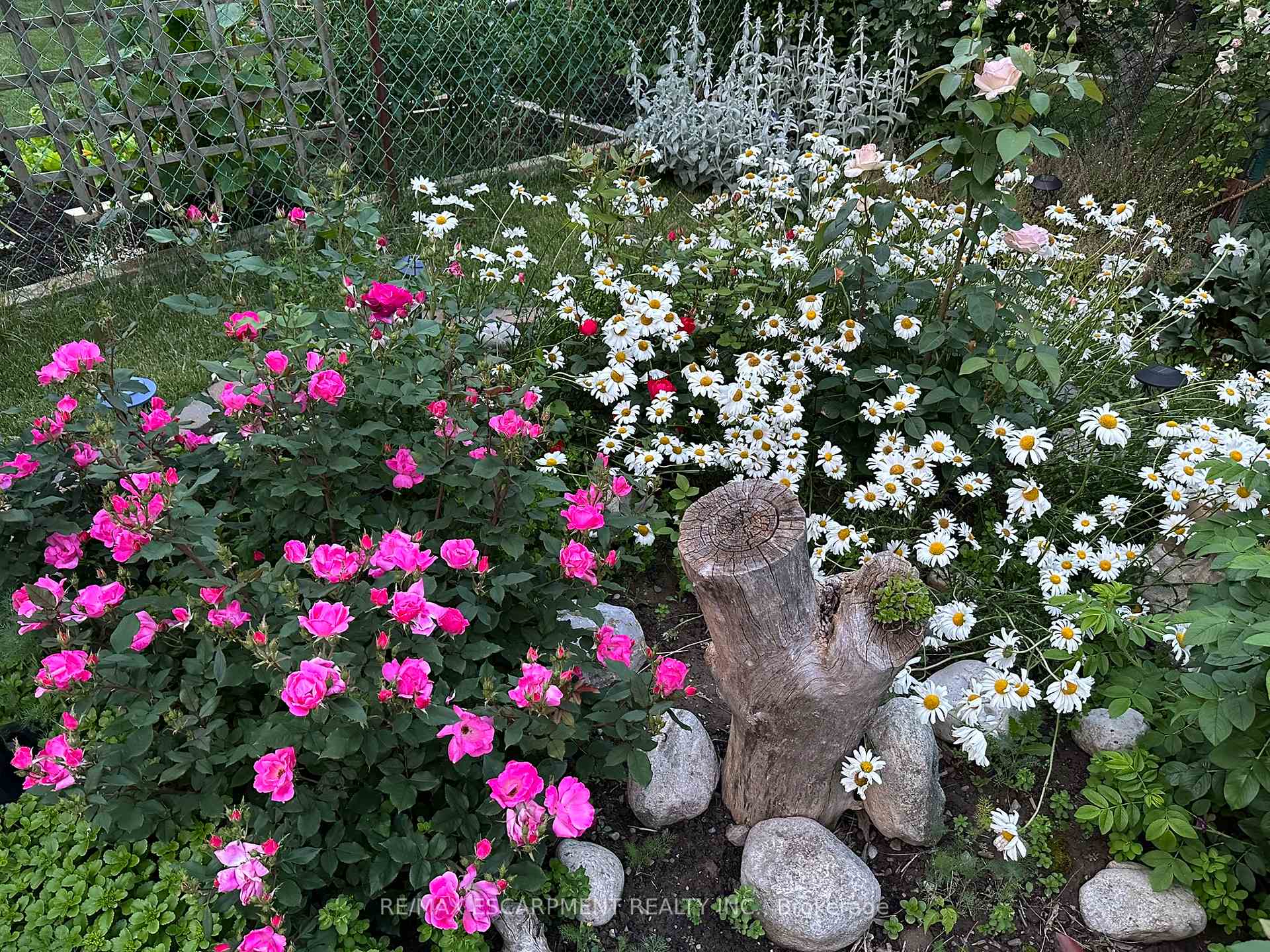 Photo 39 of 19 Normajean Avenue, Hamilton, Eleanor — HOMEH