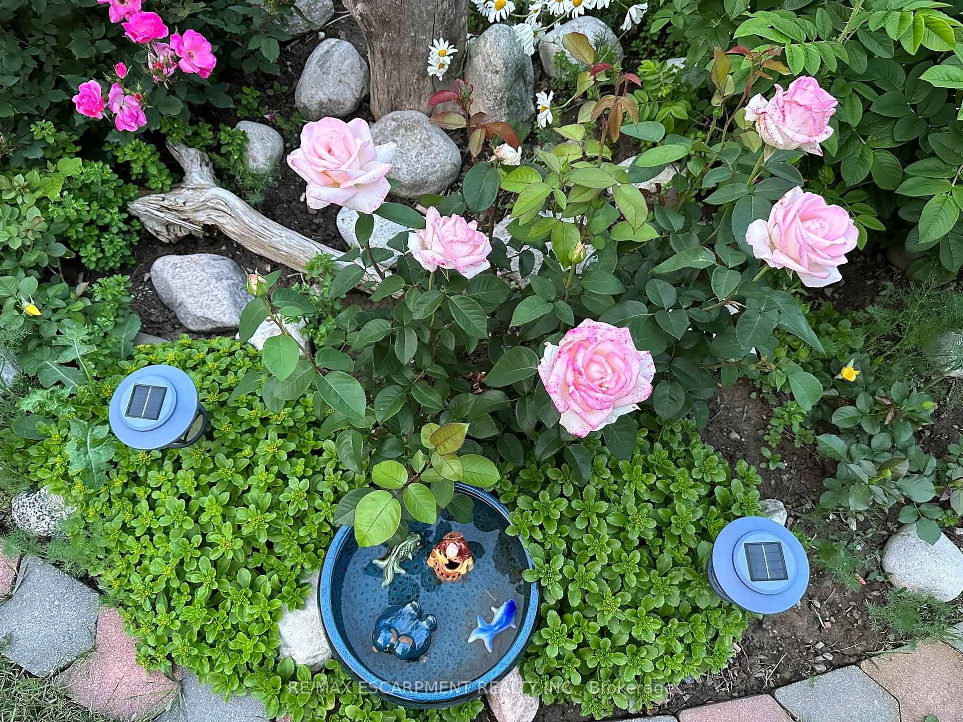 Photo 41 of 19 Normajean Avenue, Hamilton, Eleanor — HOMEH