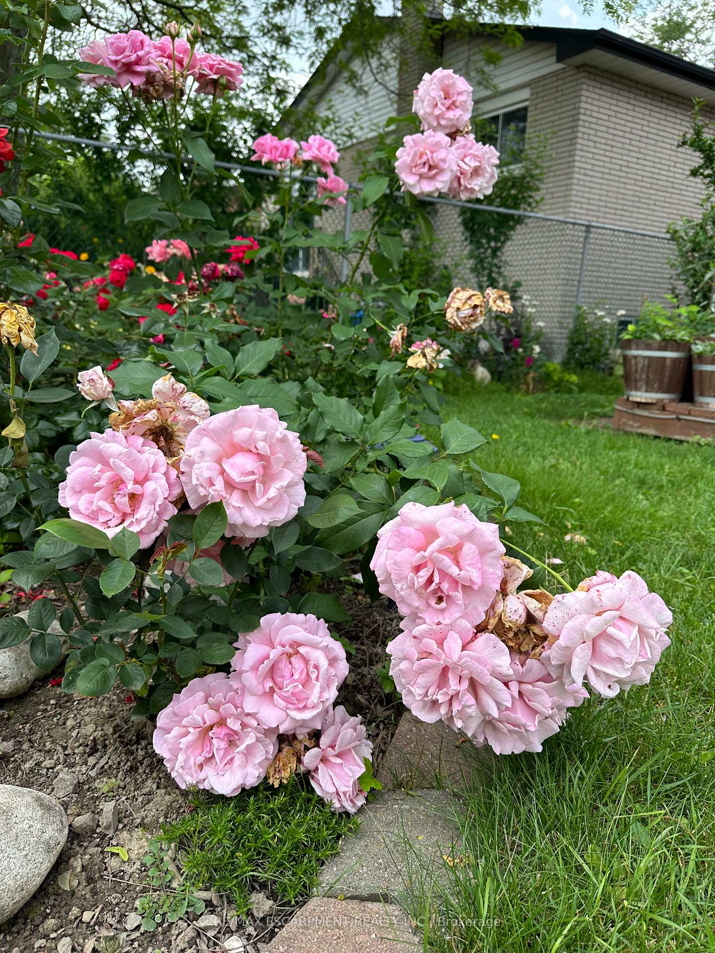 Photo 42 of 19 Normajean Avenue, Hamilton, Eleanor — HOMEH