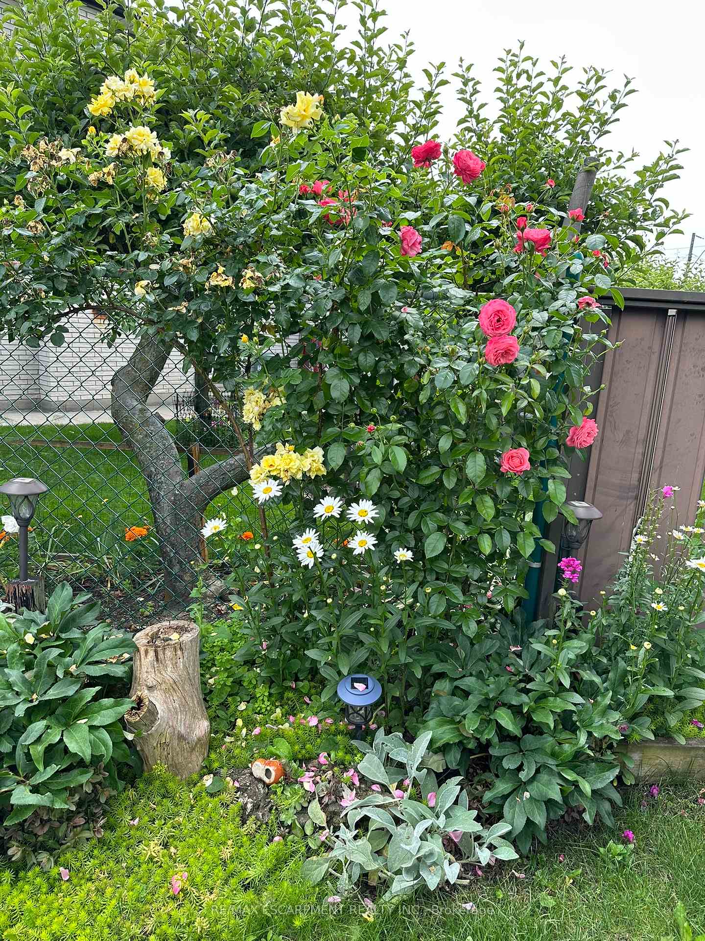 Photo 48 of 19 Normajean Avenue, Hamilton, Eleanor — HOMEH