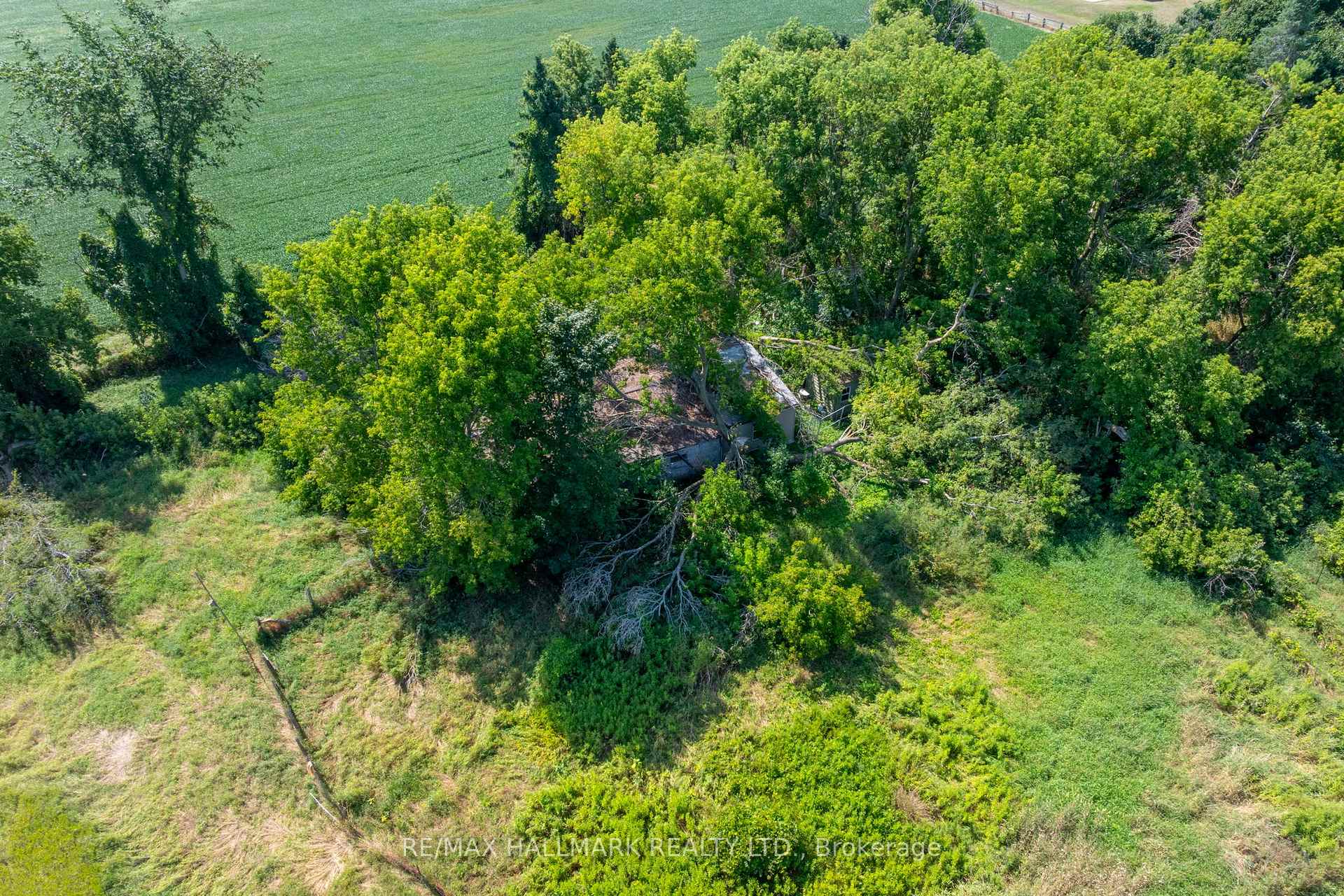 Photo 12 of 23895 Mccowan Road, Georgina, Baldwin — HOMEH
